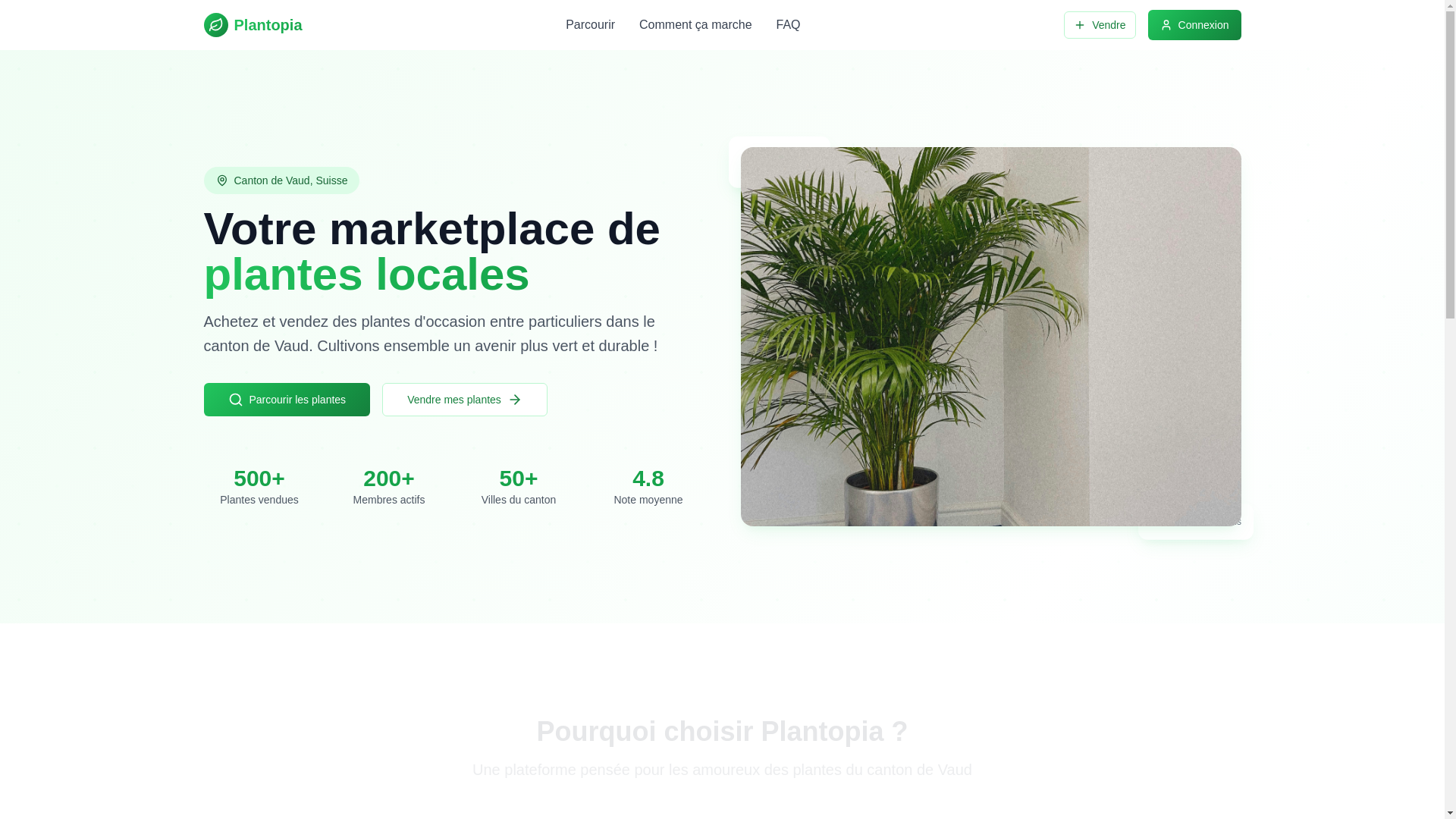 website screenshot of https://reverdis.com/