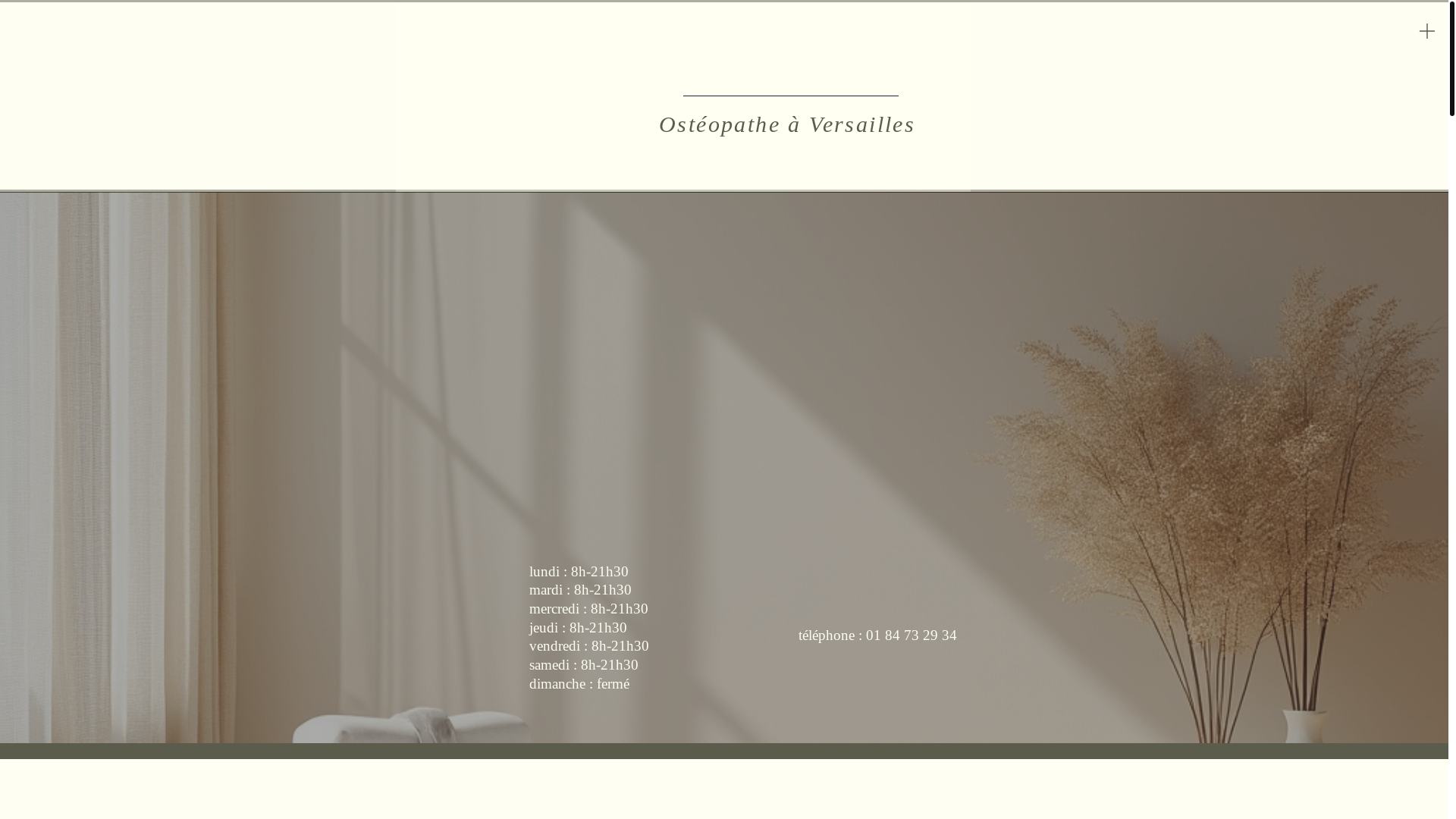 website screenshot of https://thomasromangasosteopathe.fr/