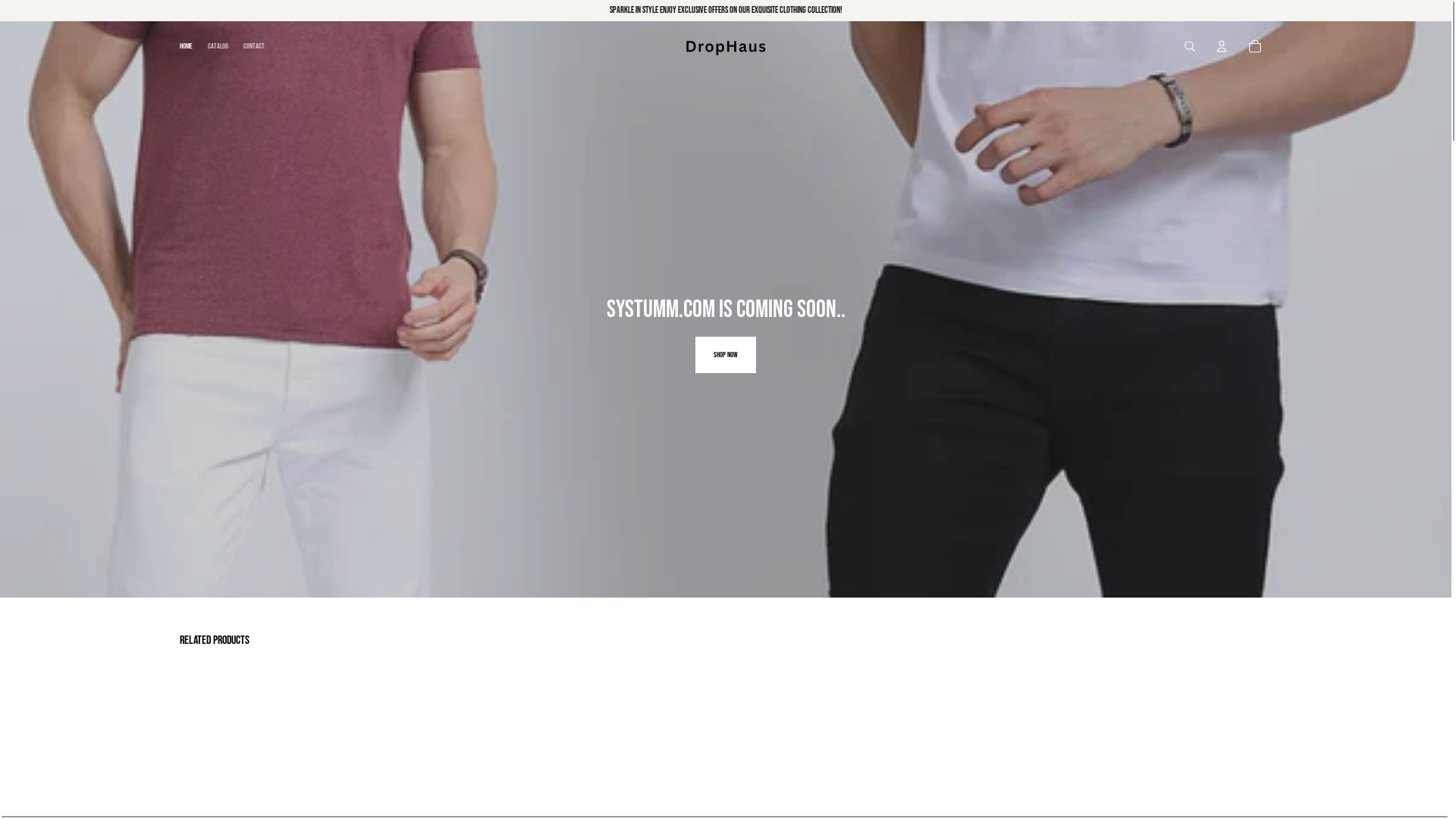 website screenshot of https://drophaus.store/