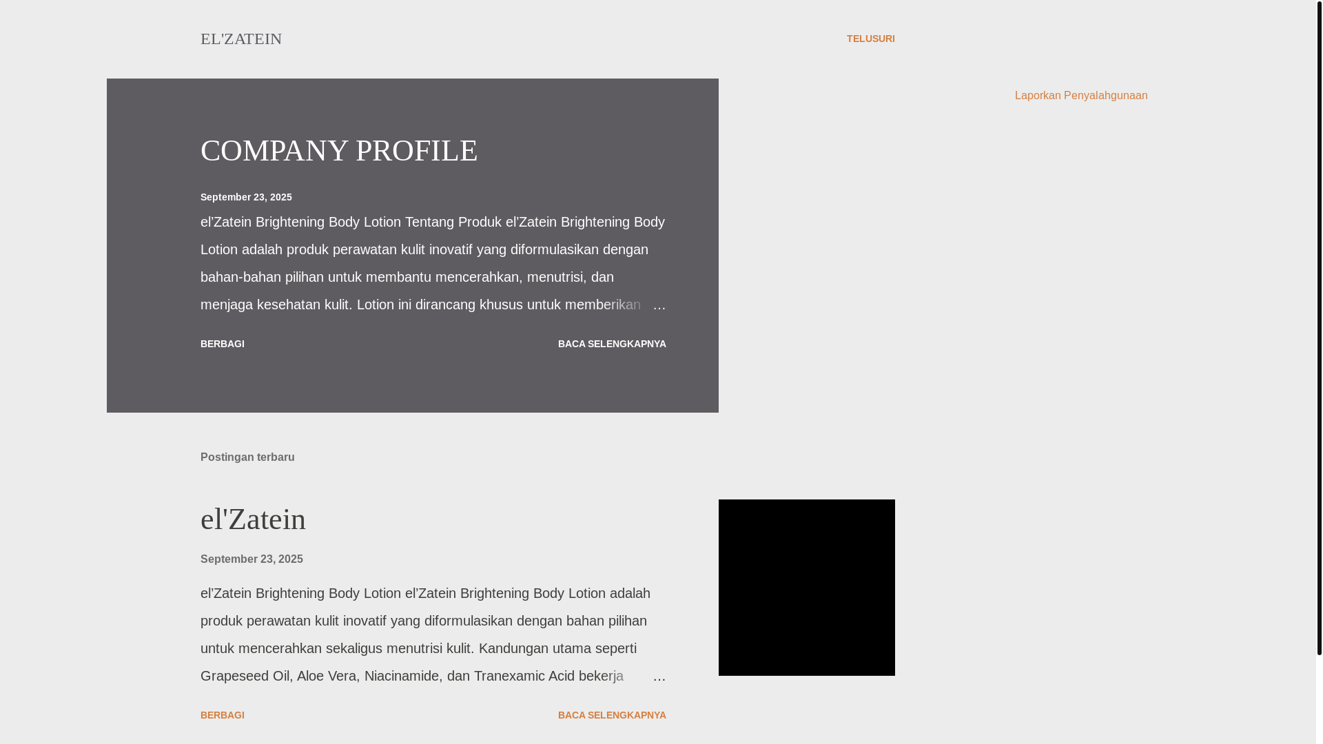 website screenshot of https://elzatein.com/
