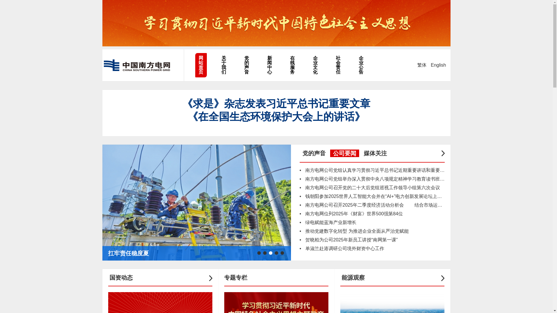 website screenshot of https://csg.cn