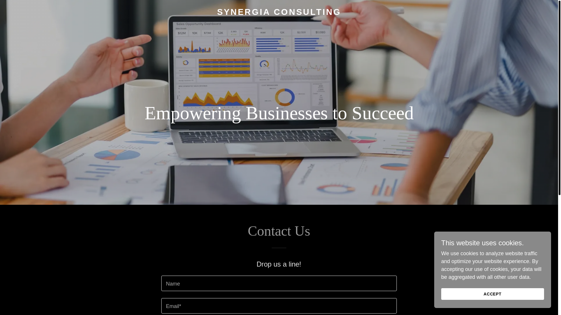 website screenshot of https://synergiaconsultingservices.com/