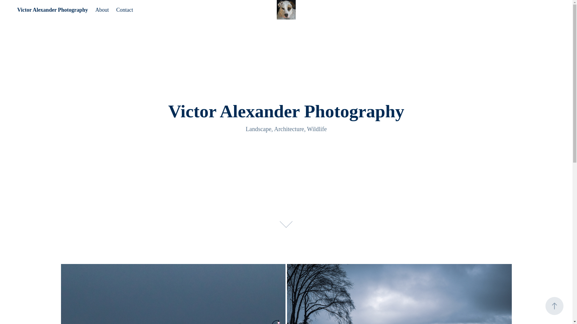 website screenshot of https://vaporvic.com/