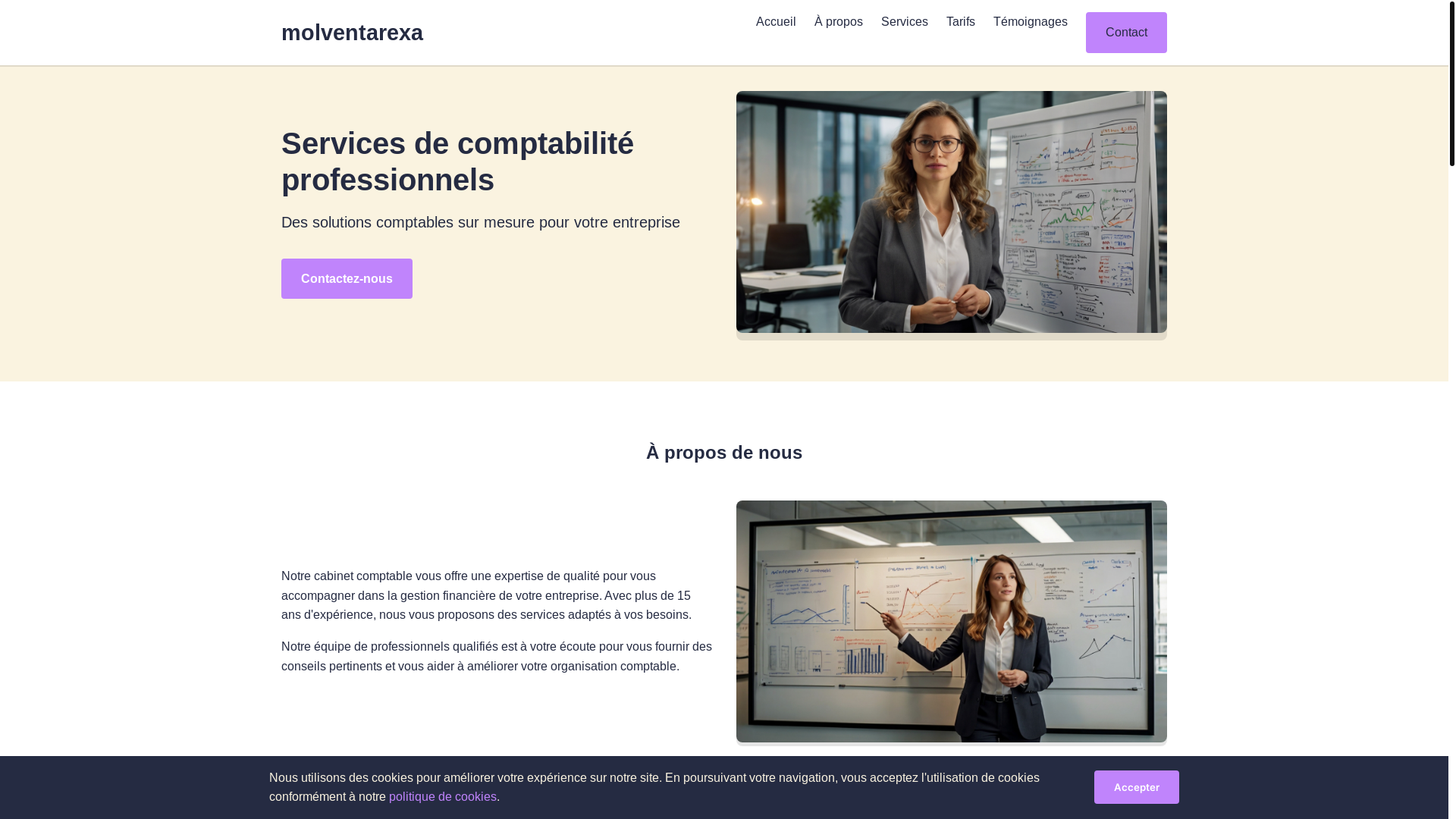 website screenshot of https://molventarexa.com/