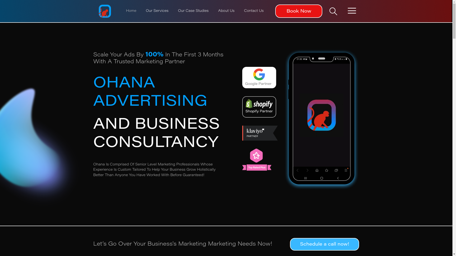 website screenshot of https://ohanameansbusinessaccelerator.co/