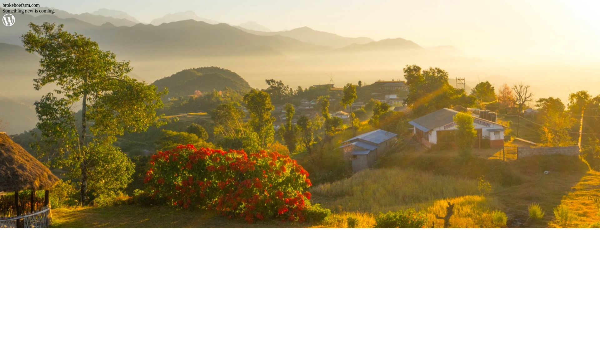 website screenshot of https://brokehoefarm.com/