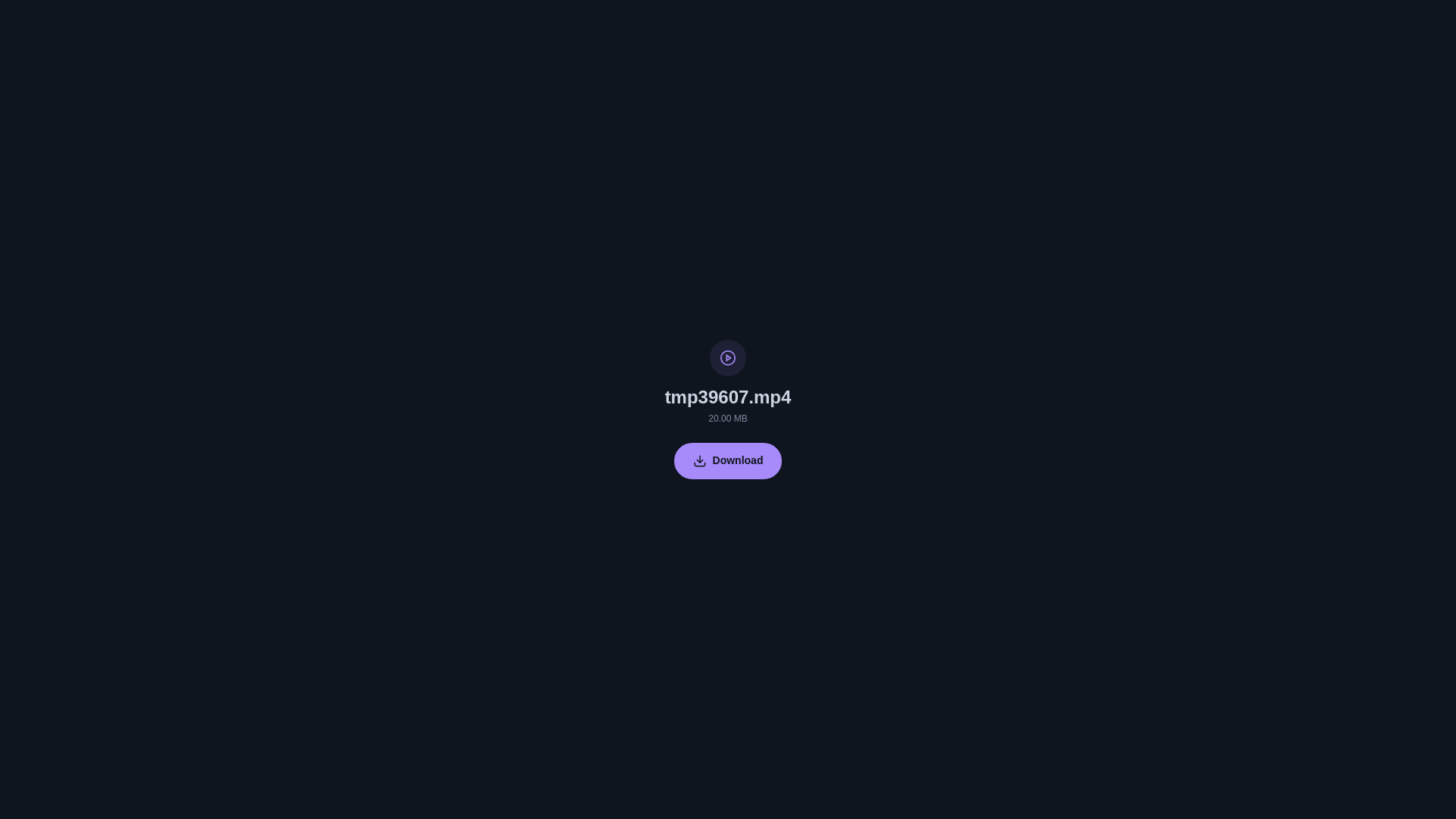 website screenshot of https://get.bunkrr.su/file/51331043