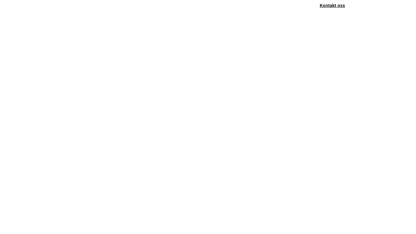 website screenshot of https://anywhere.djp.no/