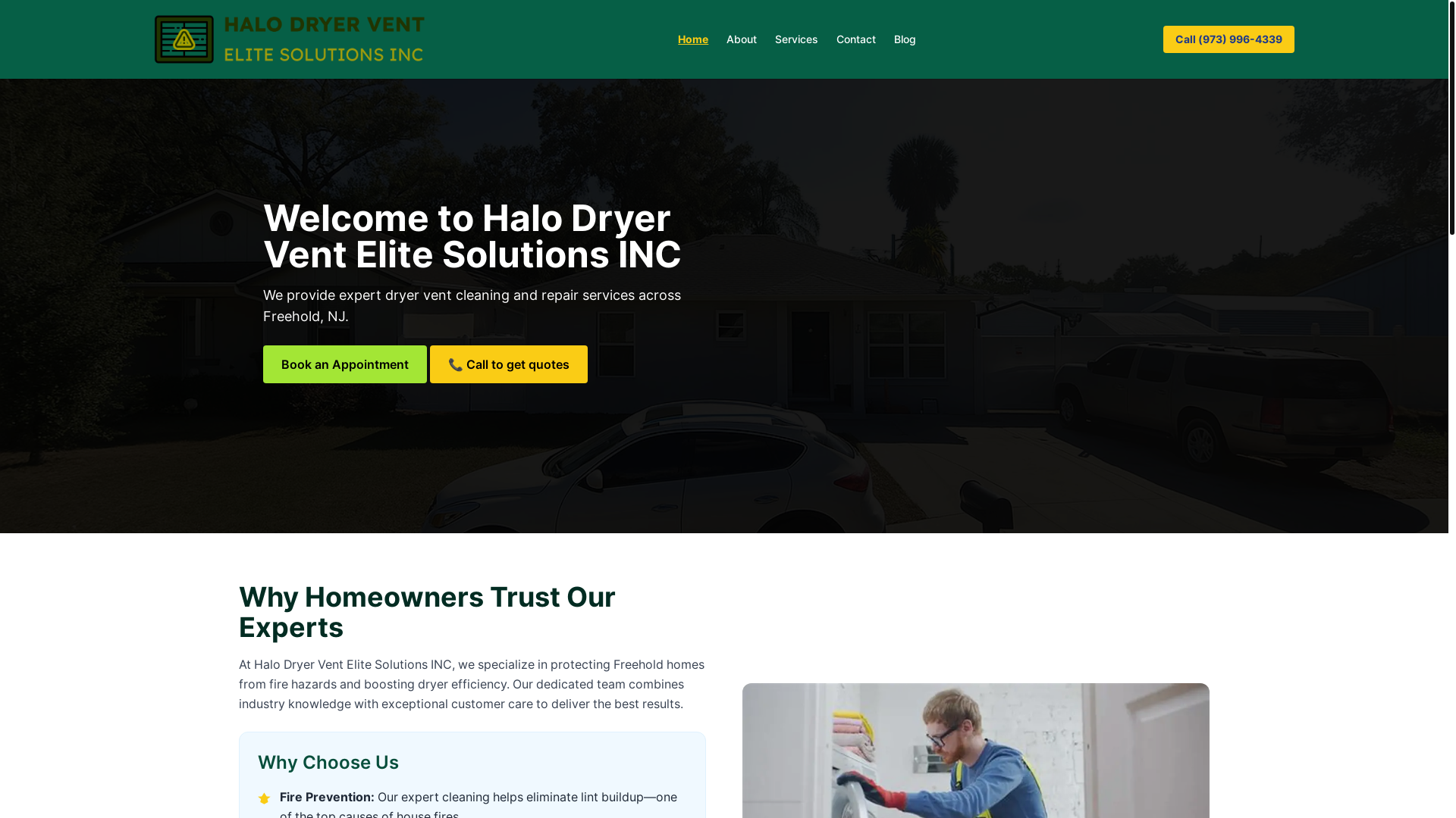 website screenshot of https://halodryerventelitesolutionsinc.site/