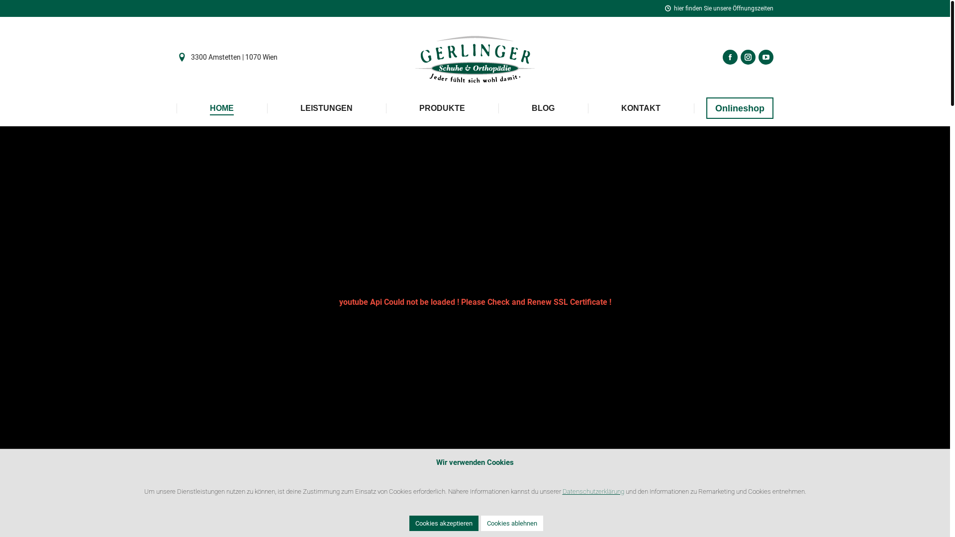 website screenshot of https://gerlinger.co.at/