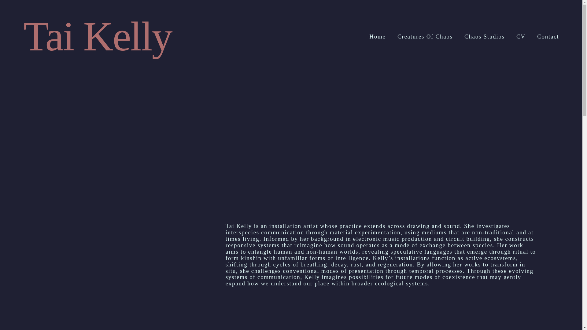 website screenshot of https://taikelly.art/