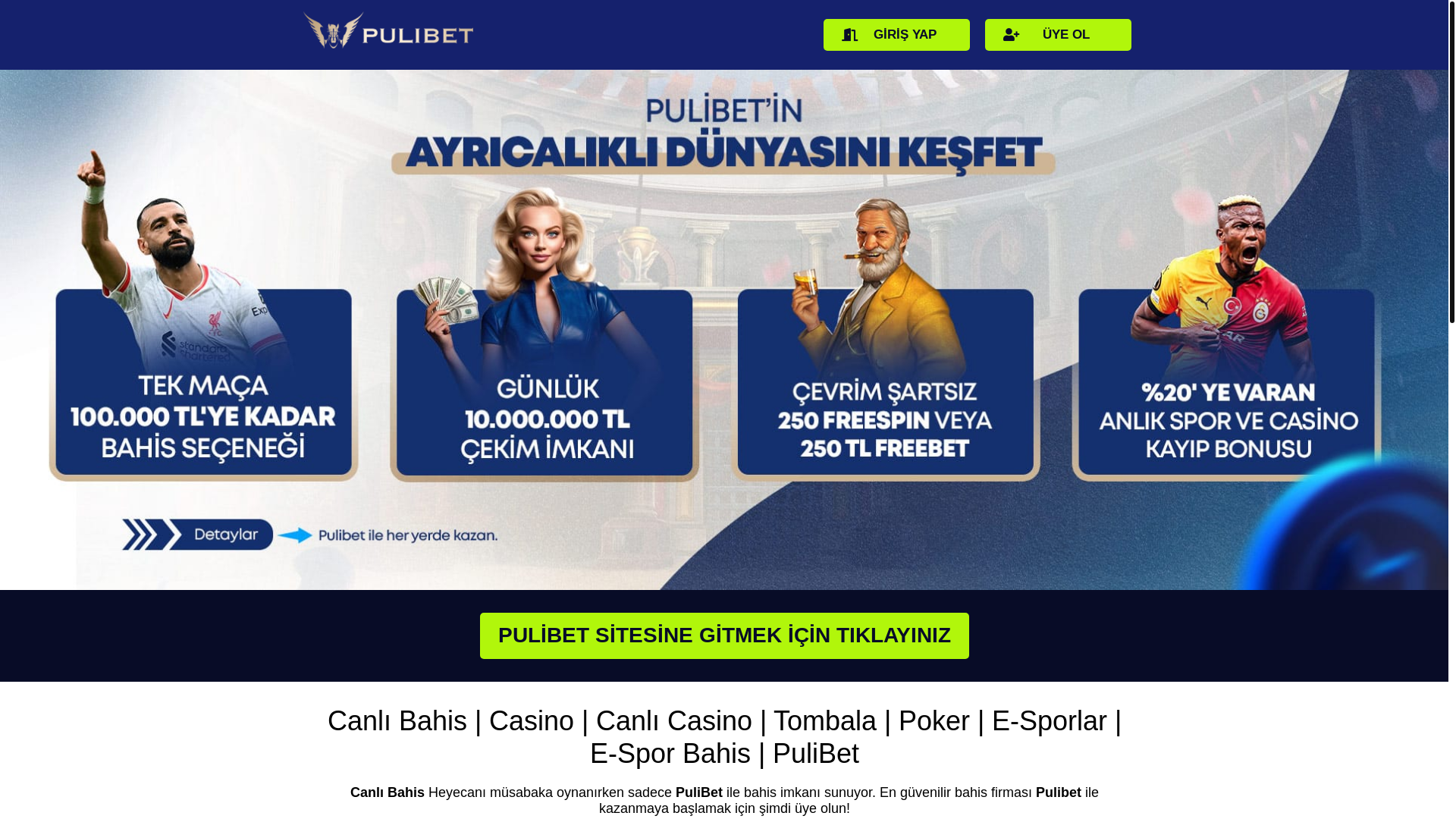 website screenshot of https://puli-com.pages.dev/