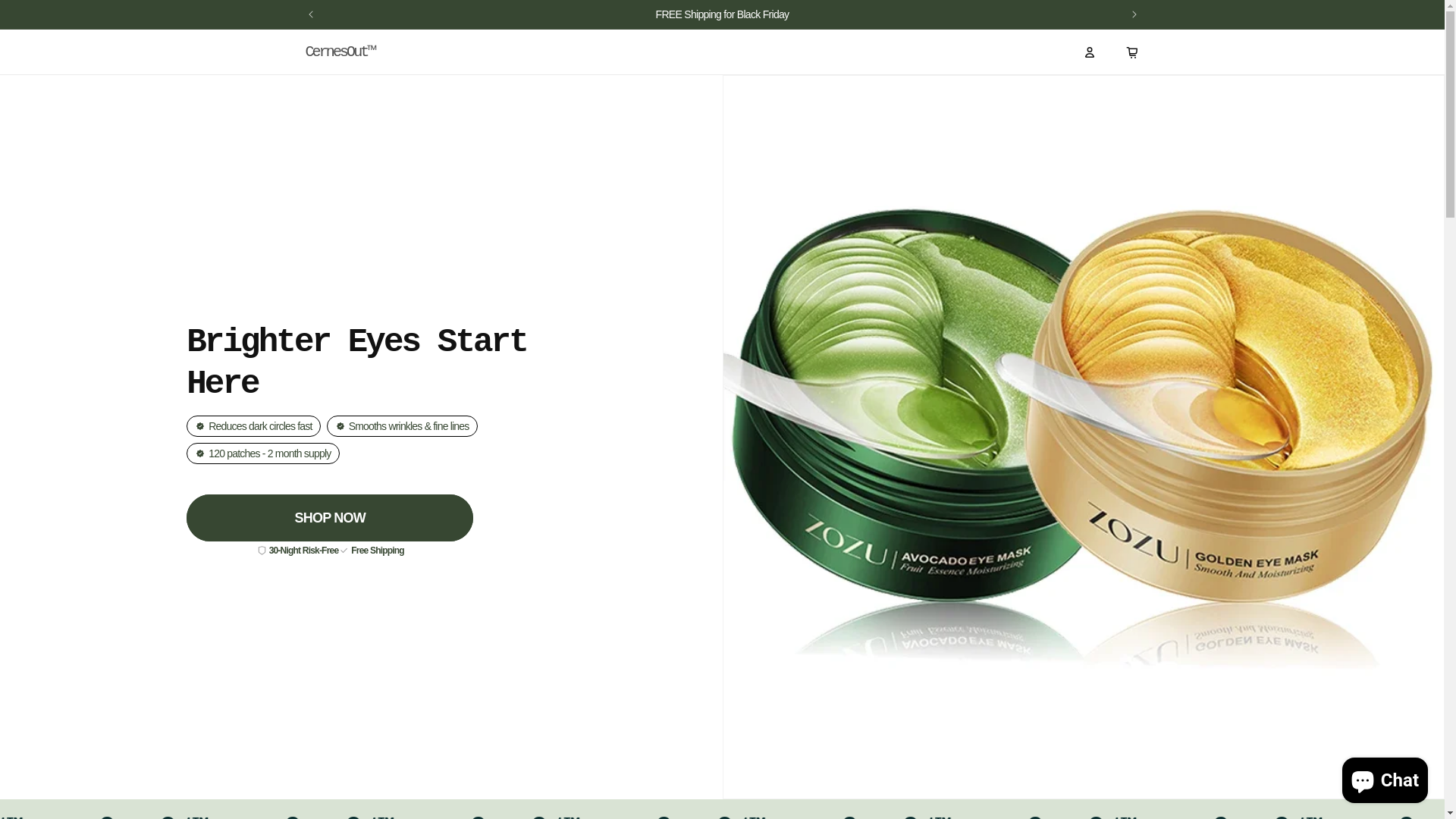 website screenshot of https://cernesout.com/