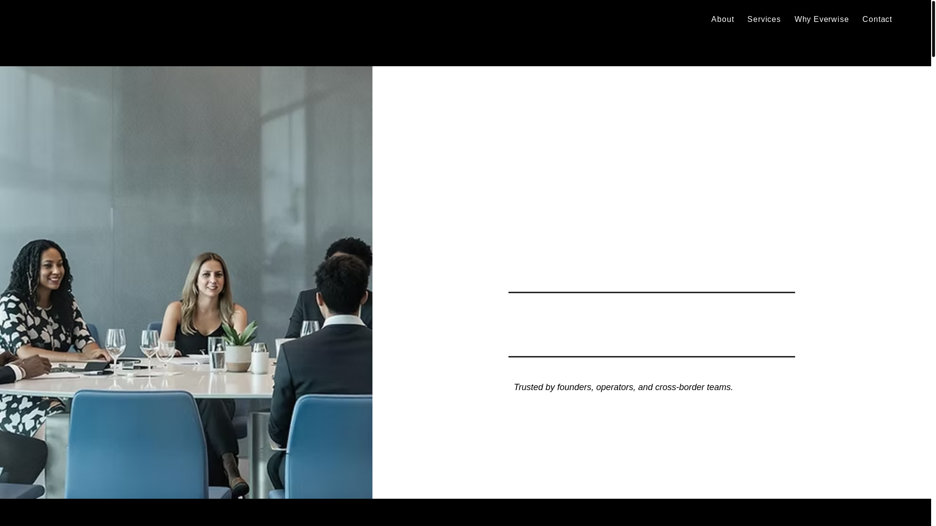 website screenshot of https://everwiseinsight.com/