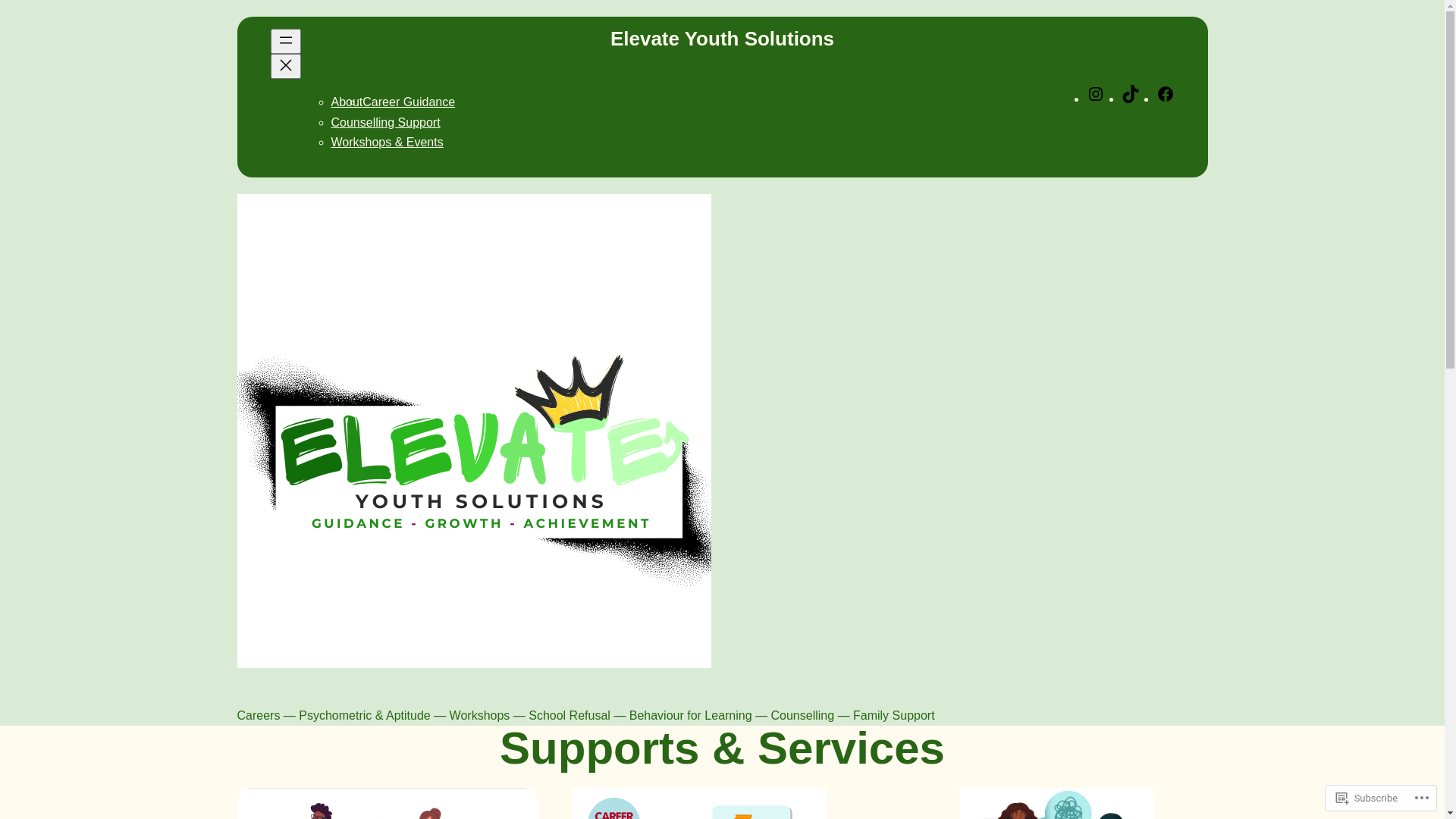 website screenshot of https://elevateyouthsolution.com/