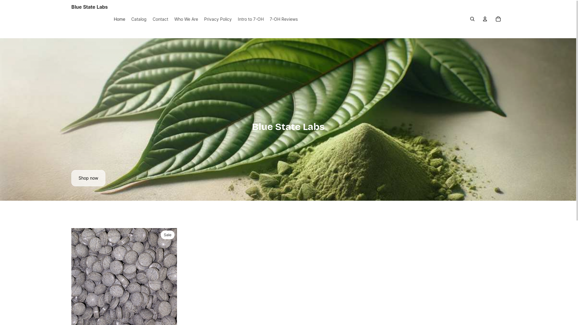 website screenshot of https://bluestatelabs.com/