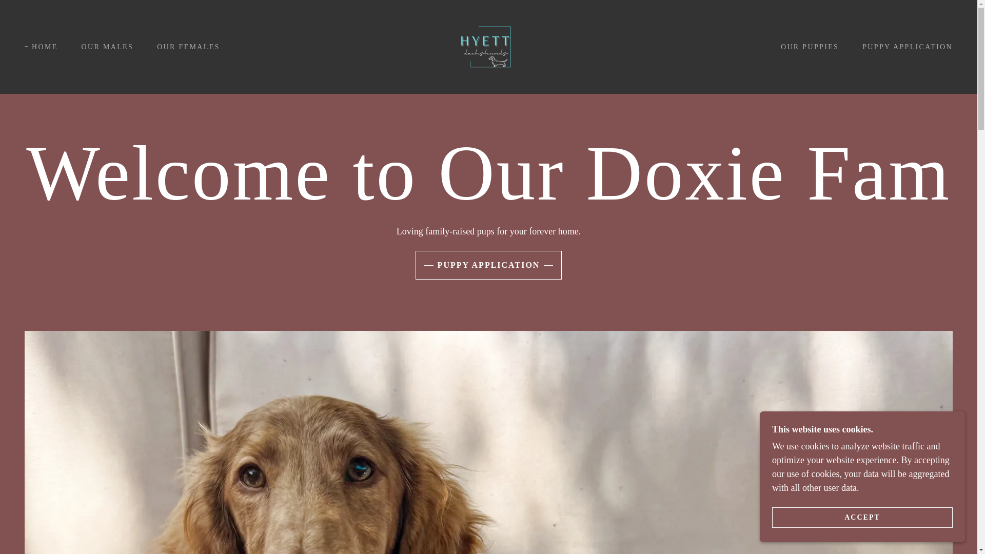 website screenshot of https://hyettdachshunds.com/