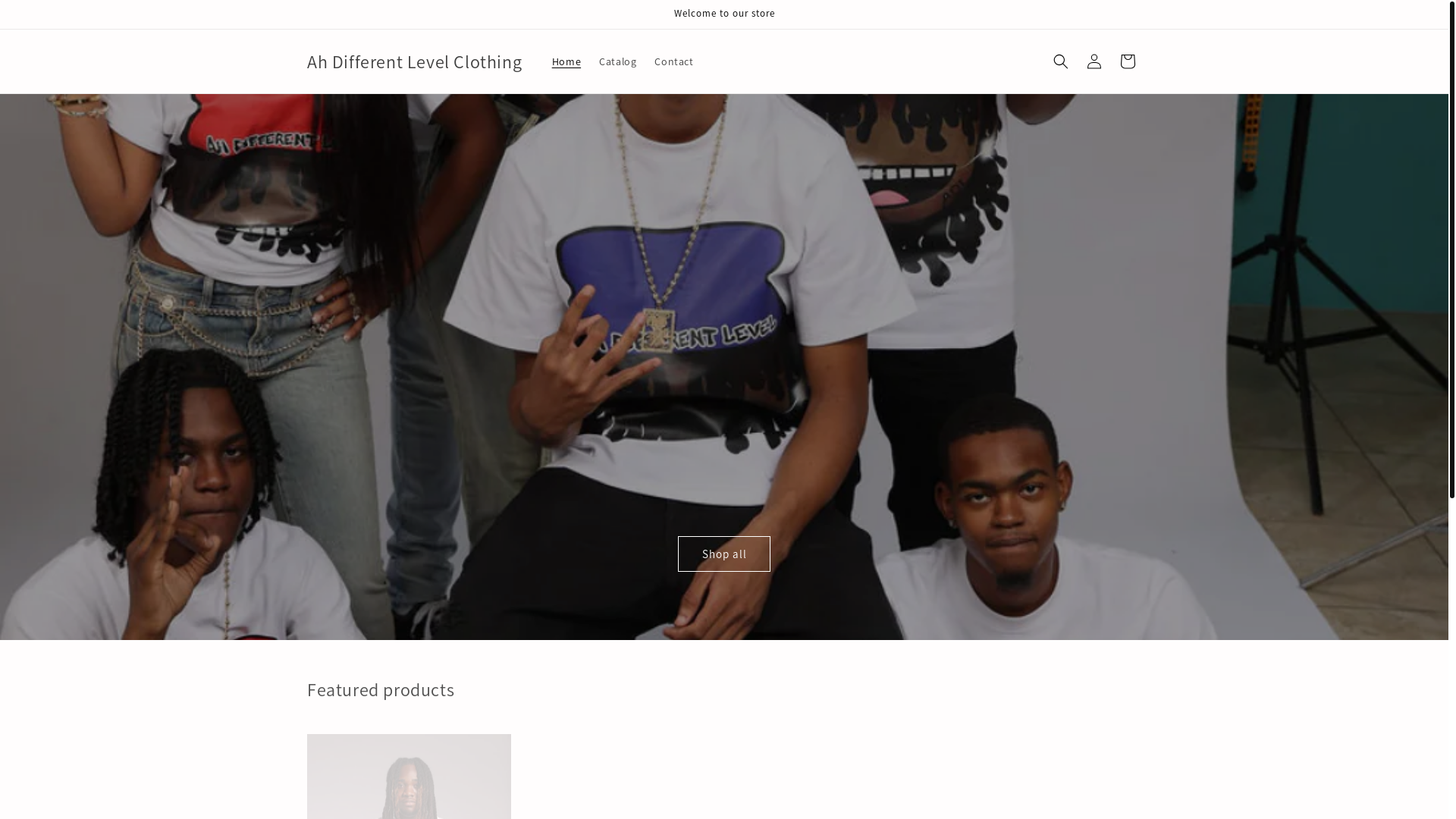 website screenshot of https://ahdifferentlevelclothing.net/