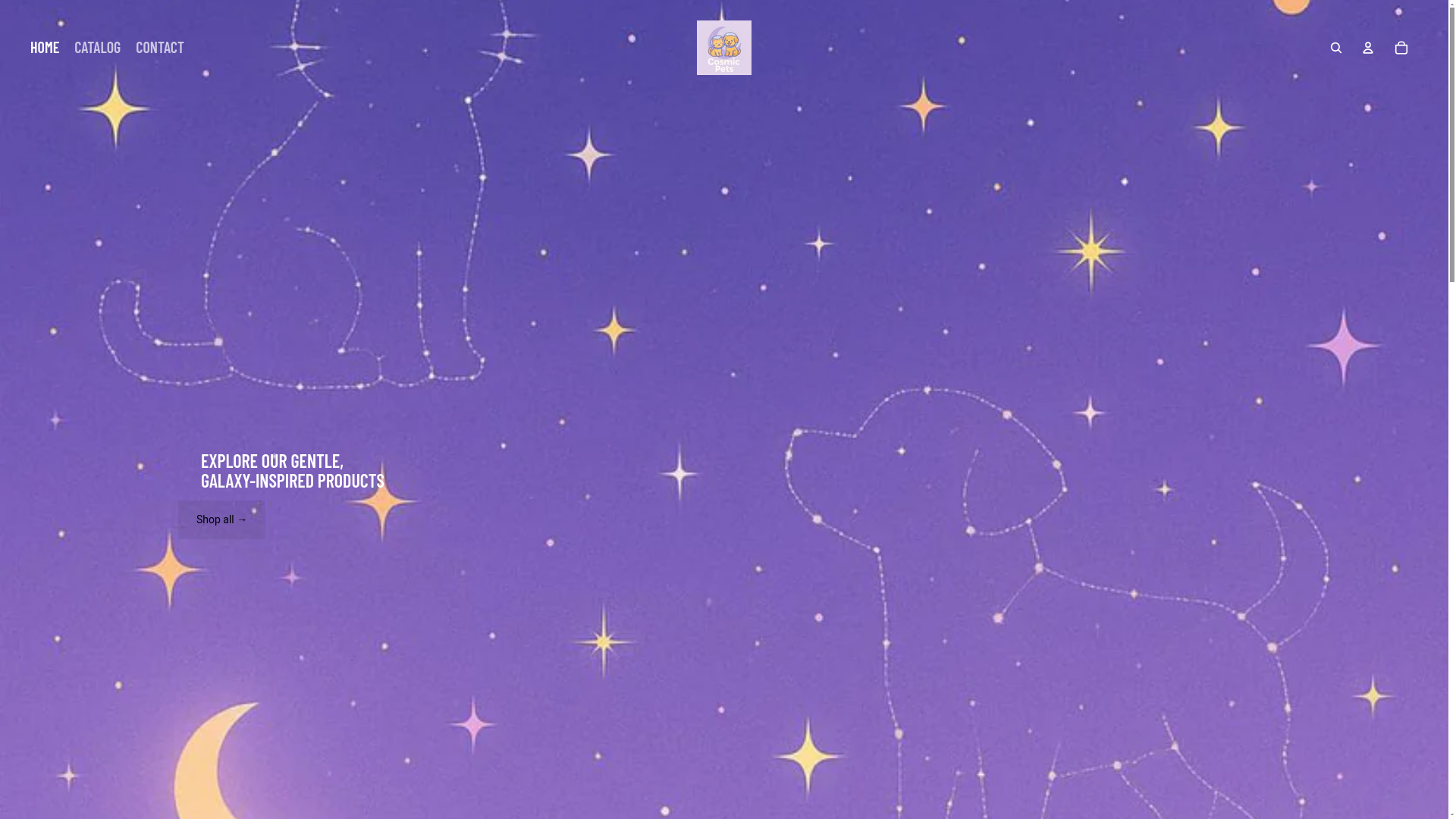 website screenshot of https://spacefriends-store.com/