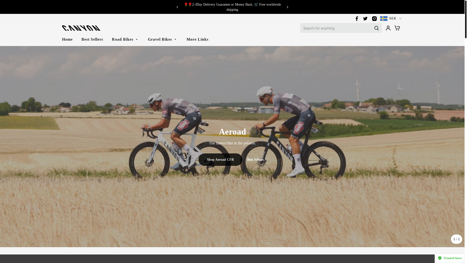 website screenshot of https://canyonsale.shop/