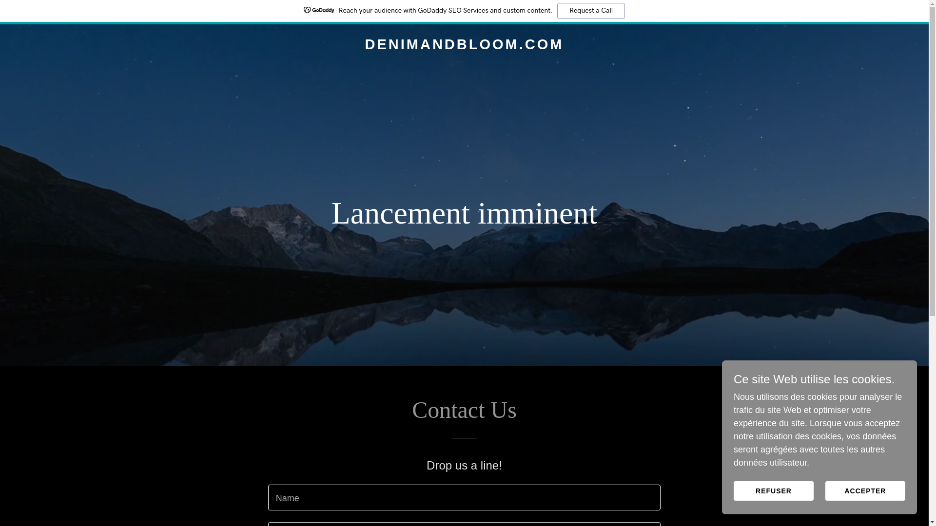 website screenshot of https://denimandbloom.com/