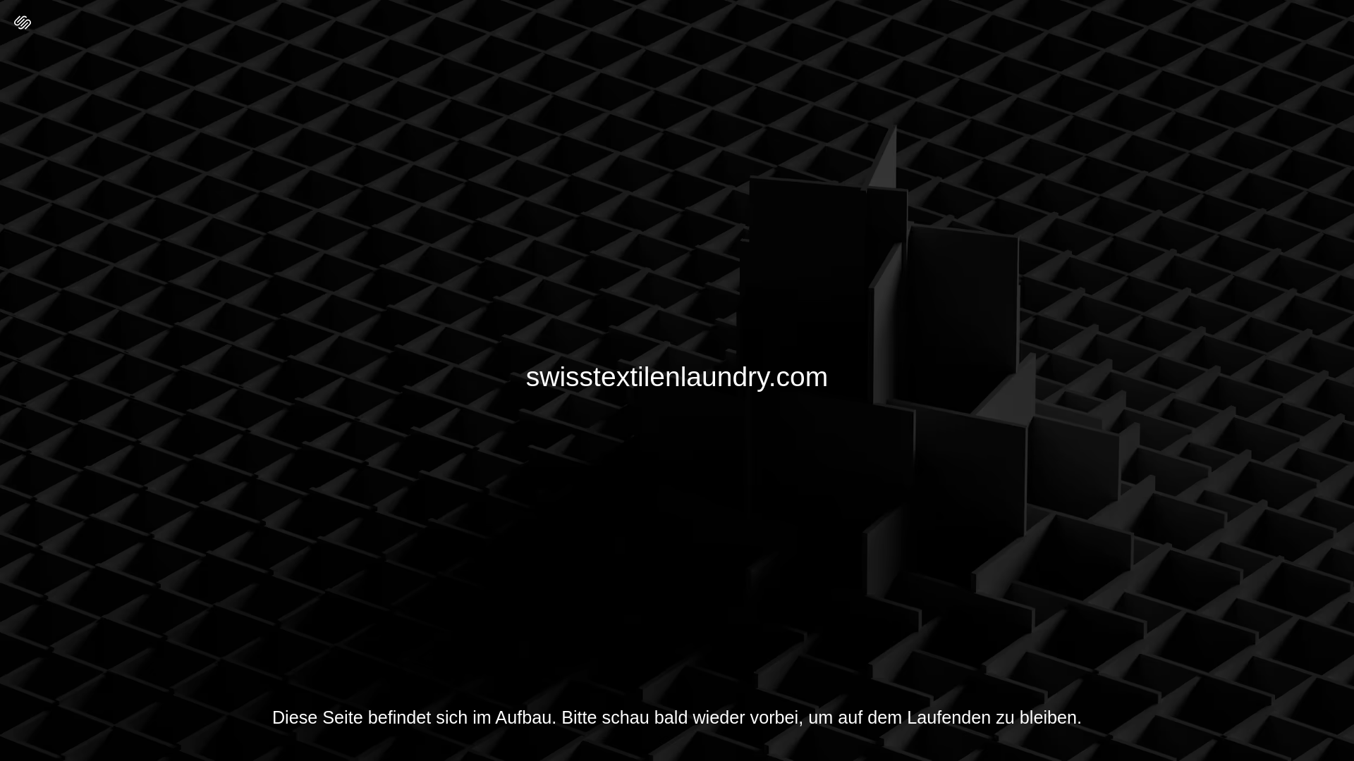 website screenshot of https://swisstextilenlaundry.com/