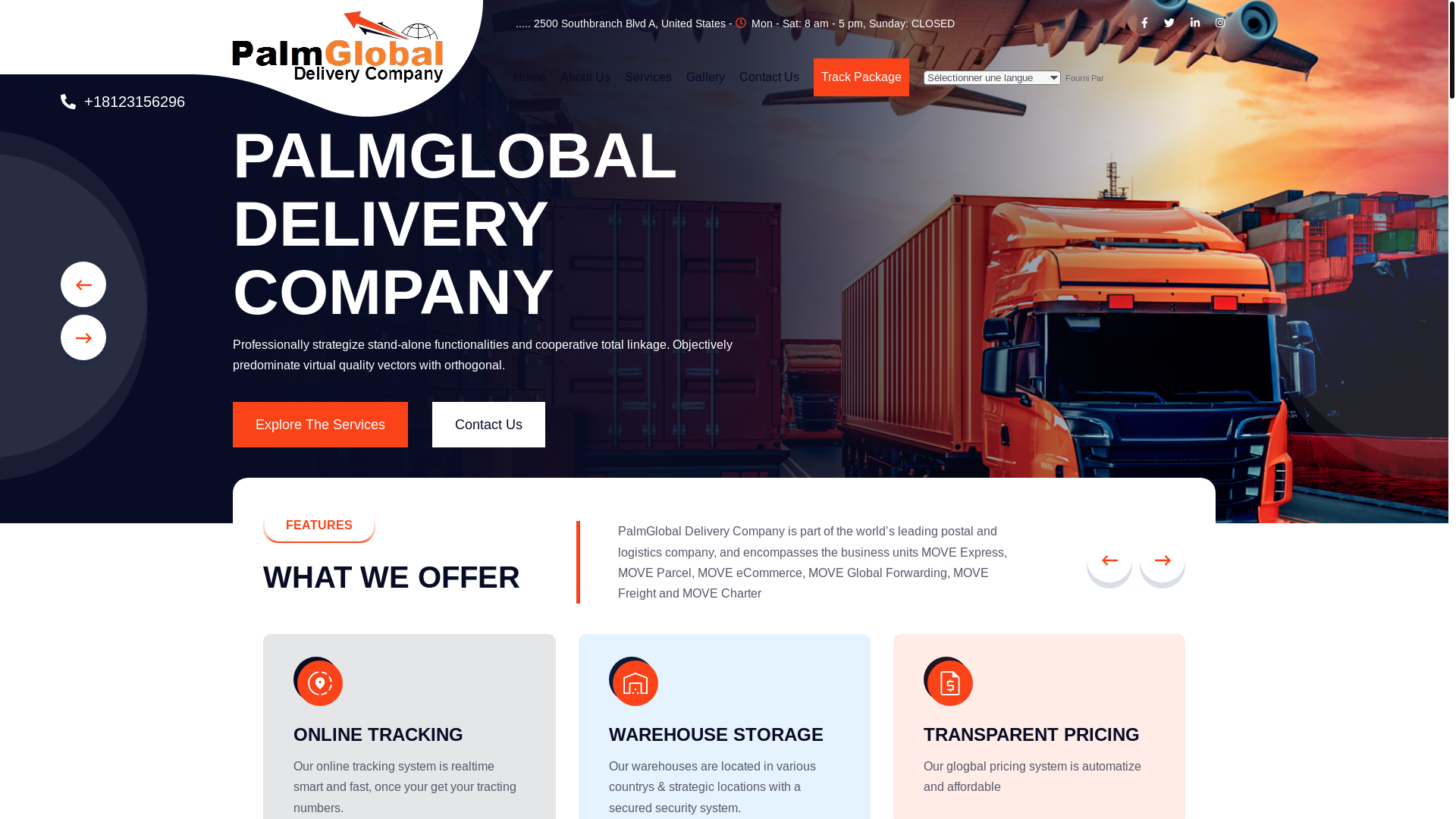 website screenshot of https://palmglobalsdeliverycompany.com/