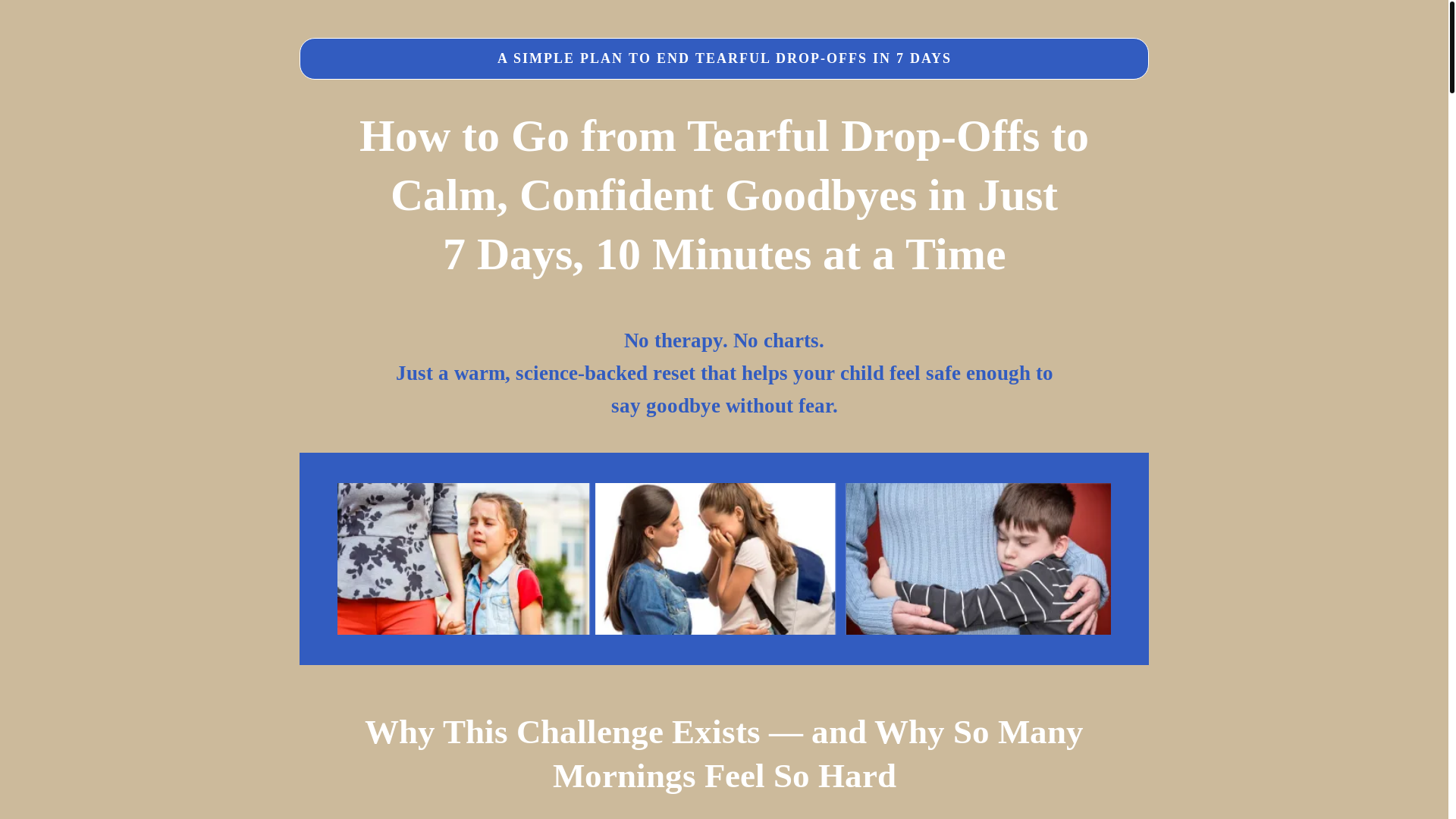 website screenshot of https://tearfullschooldropoff.com/