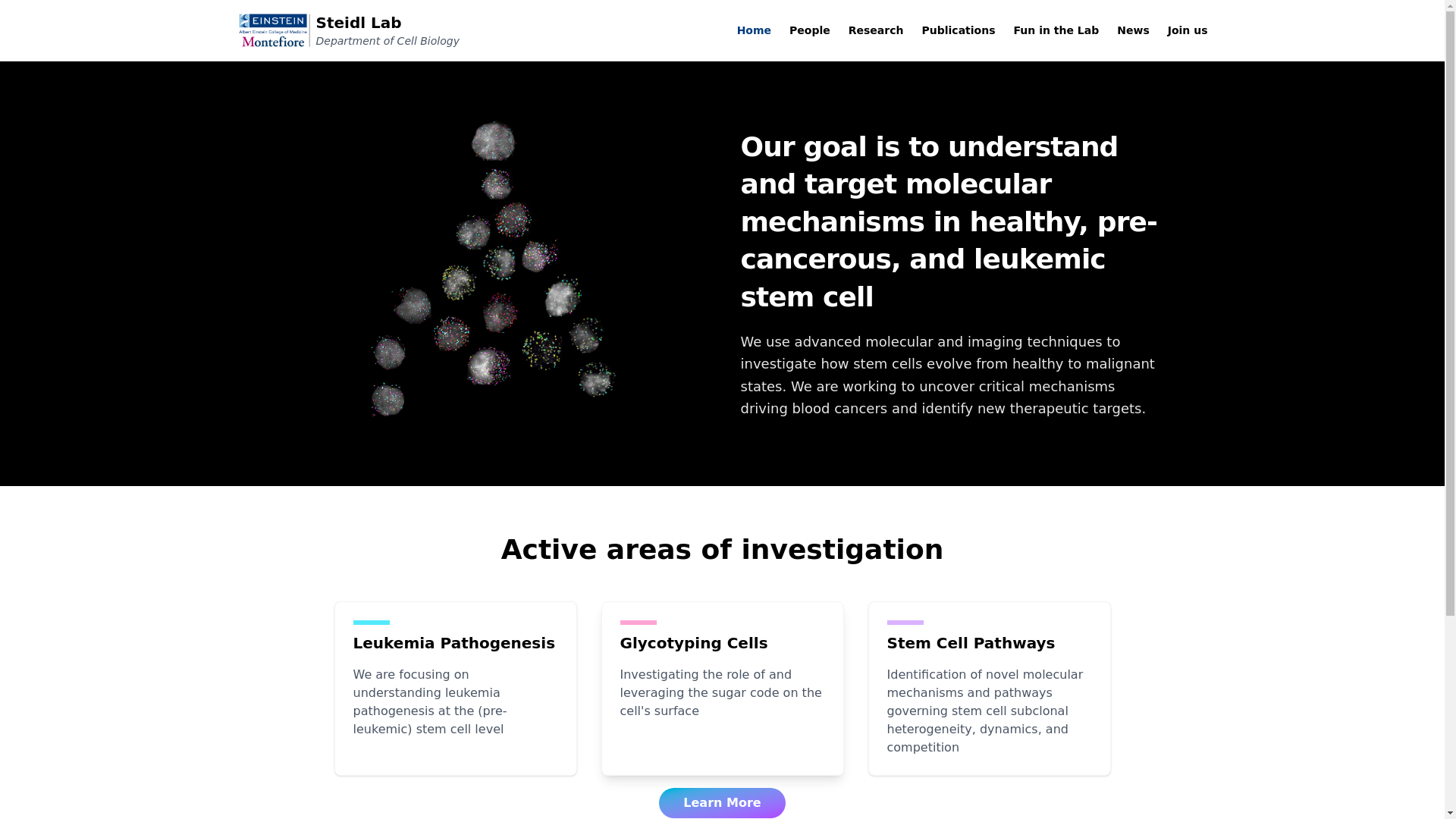 website screenshot of https://steidllab.com/