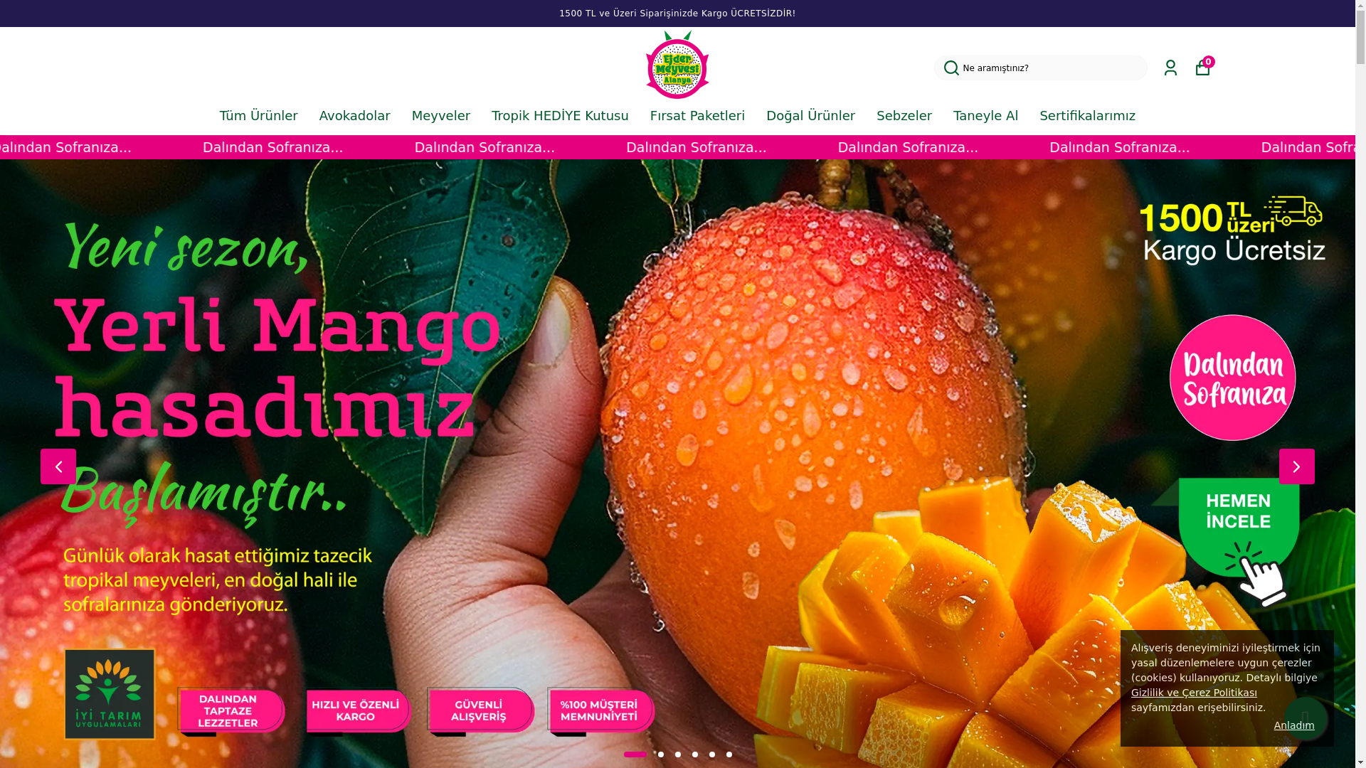 website screenshot of https://ejdermeyvesi.com