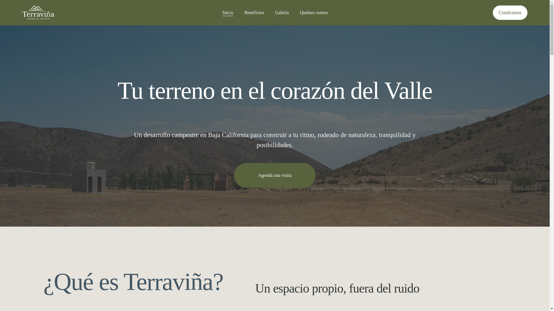 website screenshot of https://terravina.mx/