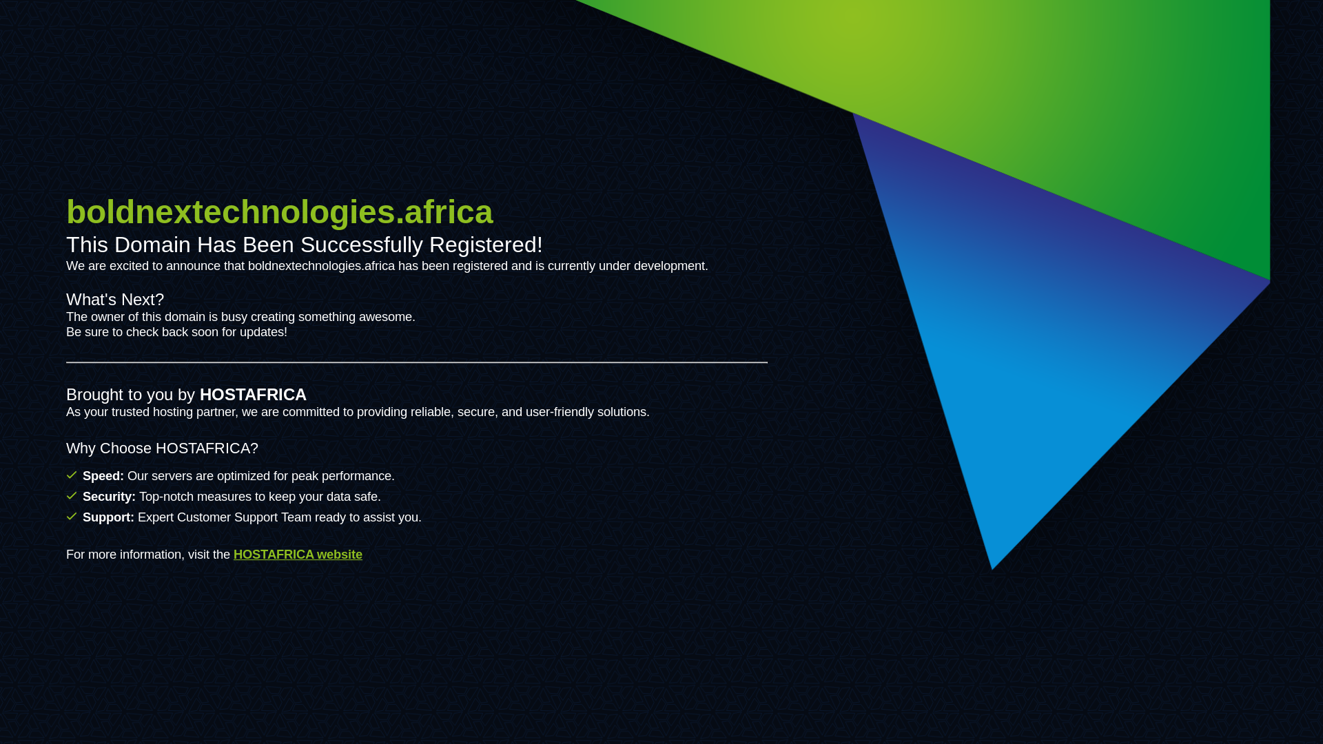 website screenshot of https://boldnextechnologies.africa/