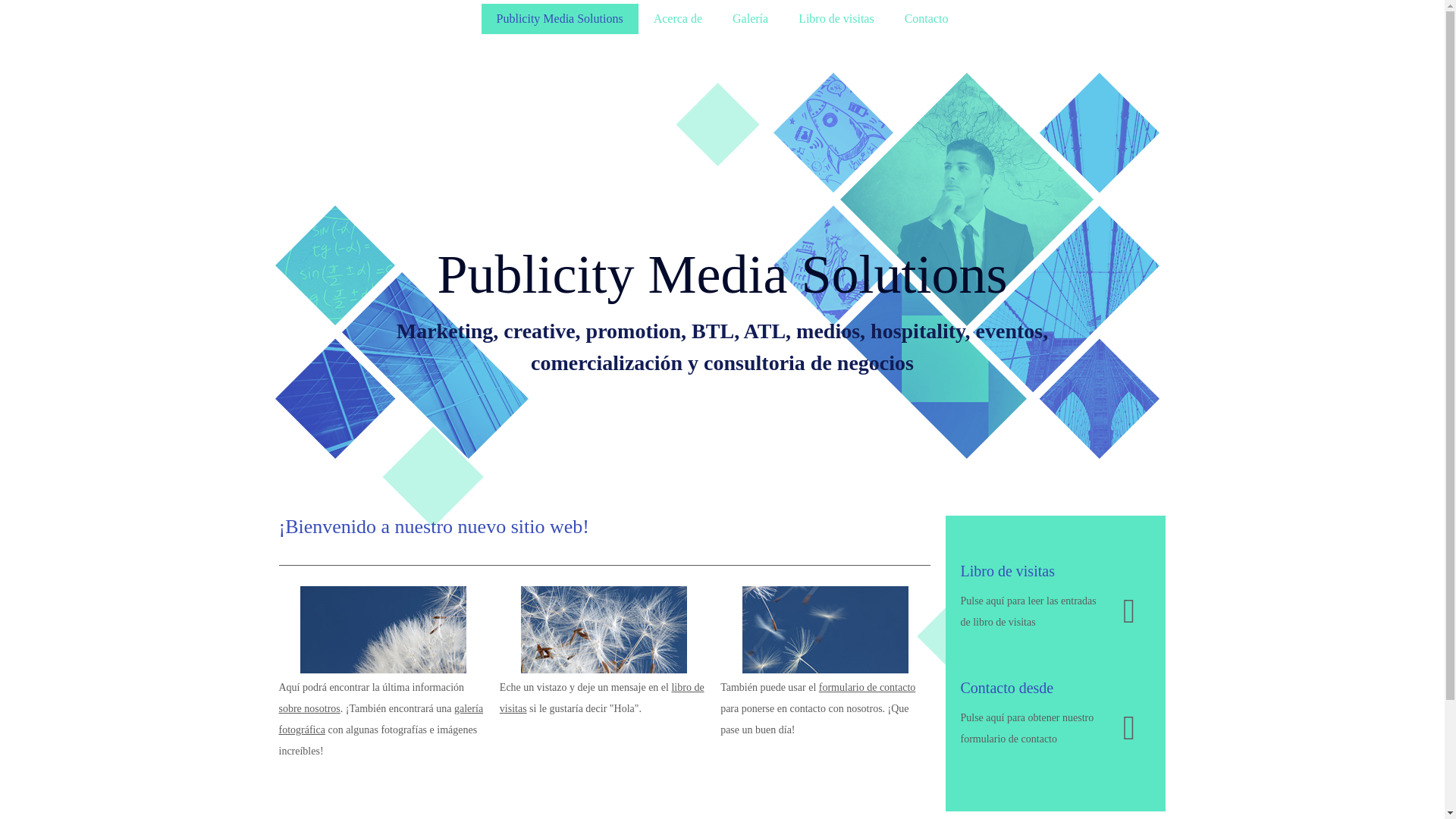 website screenshot of https://publicityms.com/