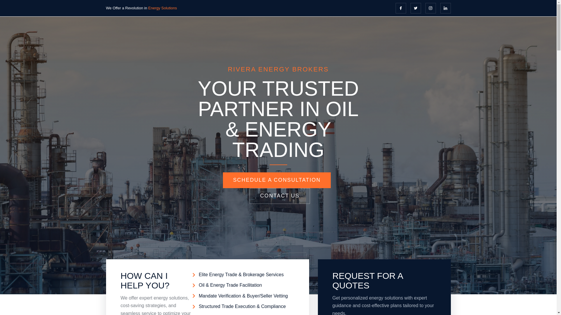 website screenshot of https://riveraenergybrokers.com/