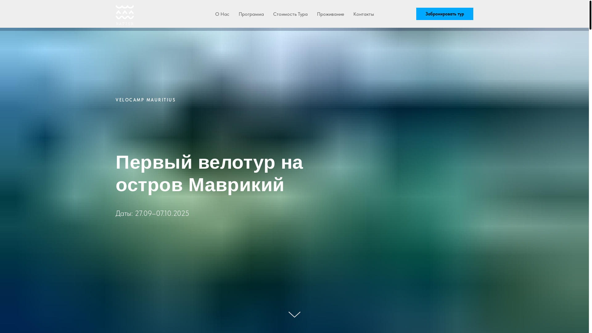 website screenshot of https://velo-mauritius.ru/
