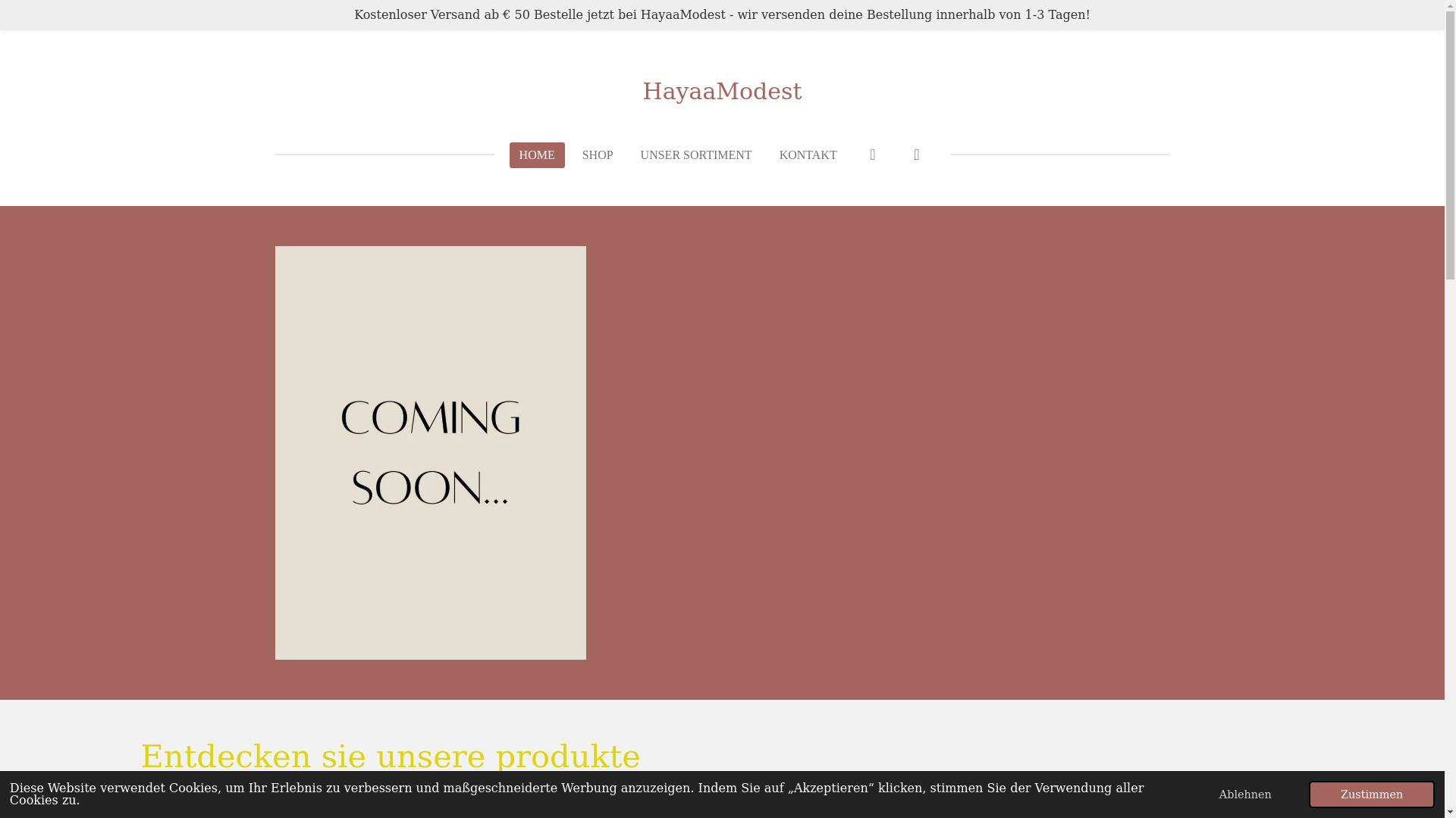 website screenshot of https://hayaamodest.com/
