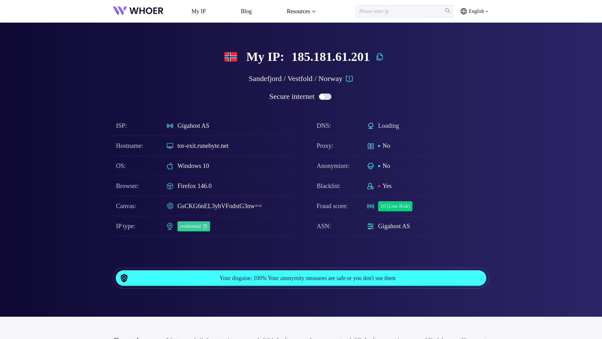 website screenshot of https://whoer.com/ip/185.181.61.201/