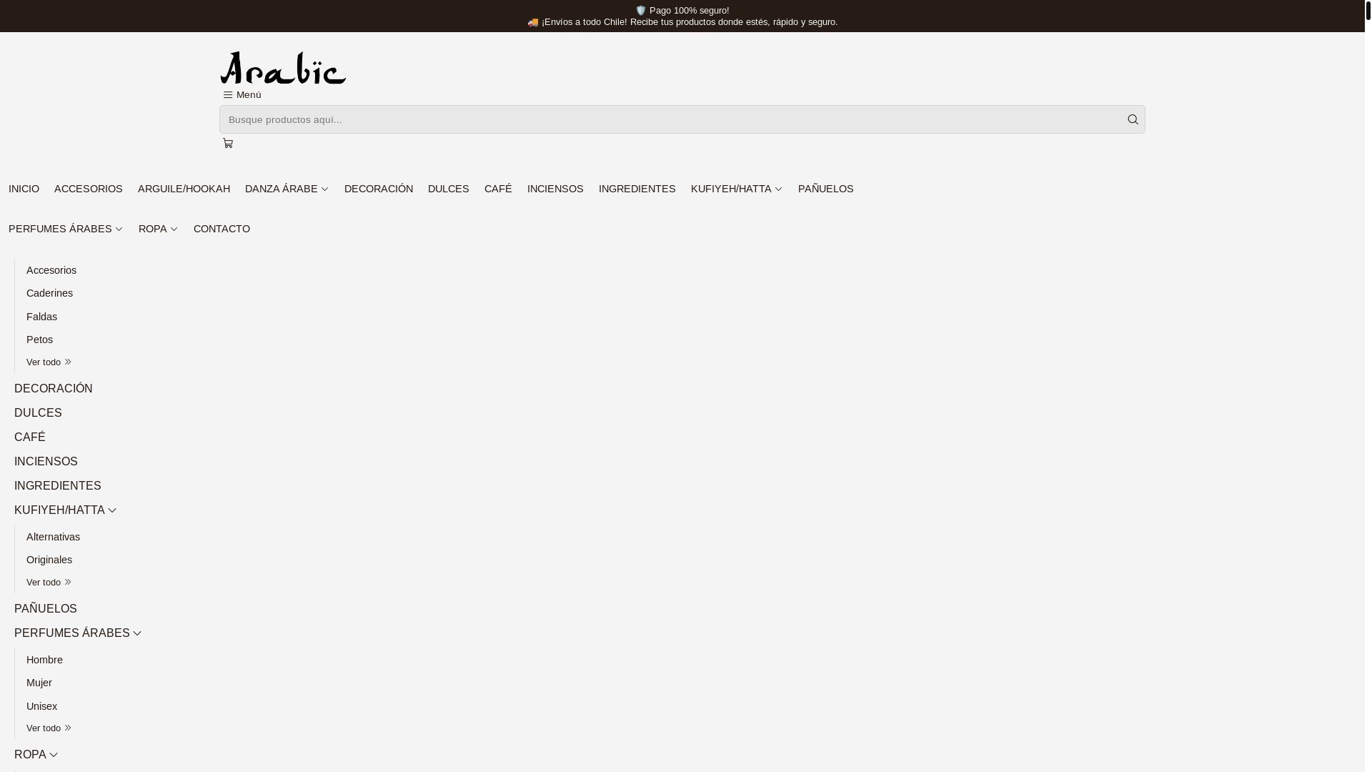website screenshot of https://arabic.cl/