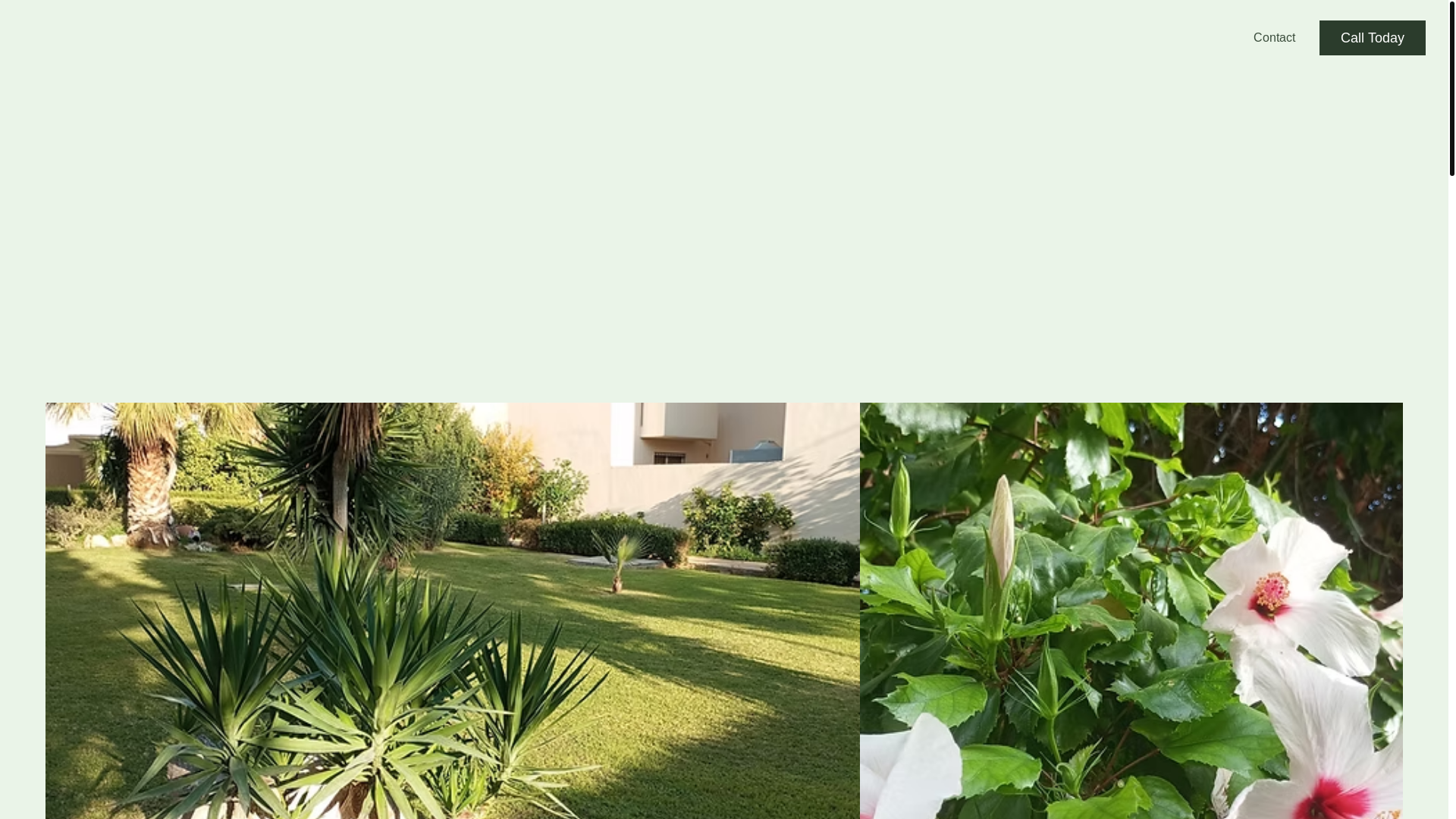 website screenshot of https://hayfevergardens.com/