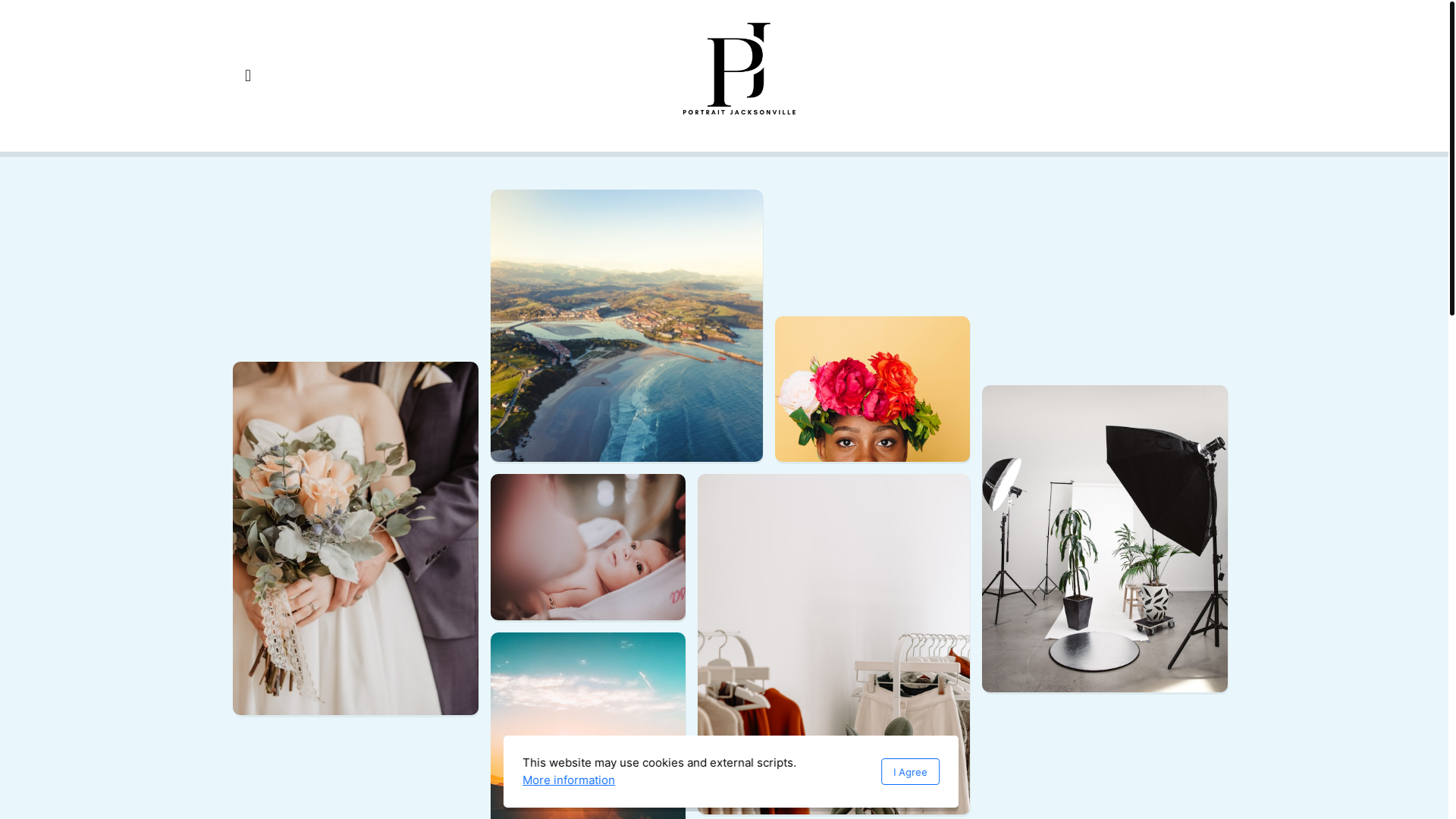 website screenshot of https://portraitjacksonville.com/