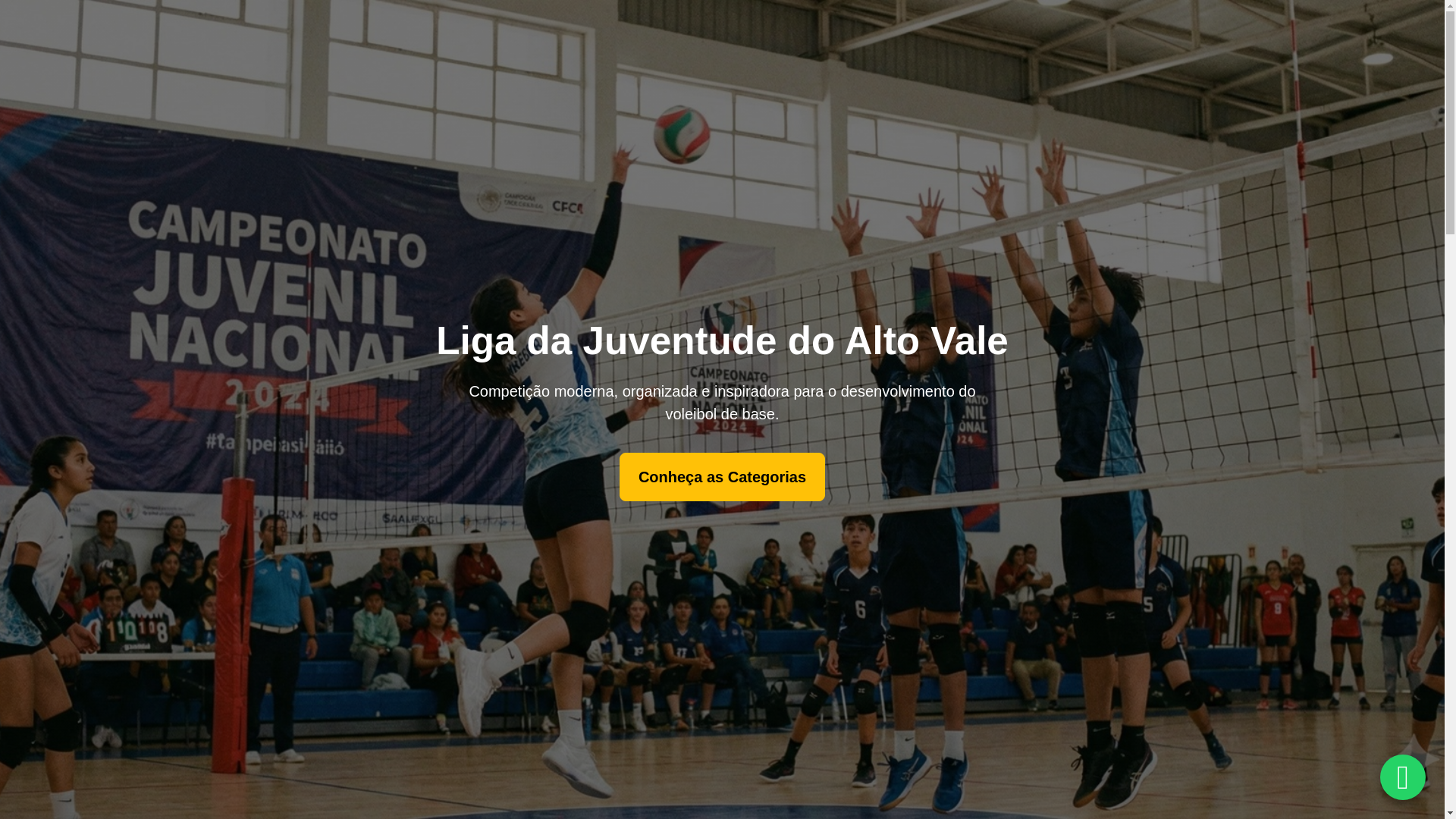 website screenshot of https://lijav.com.br/