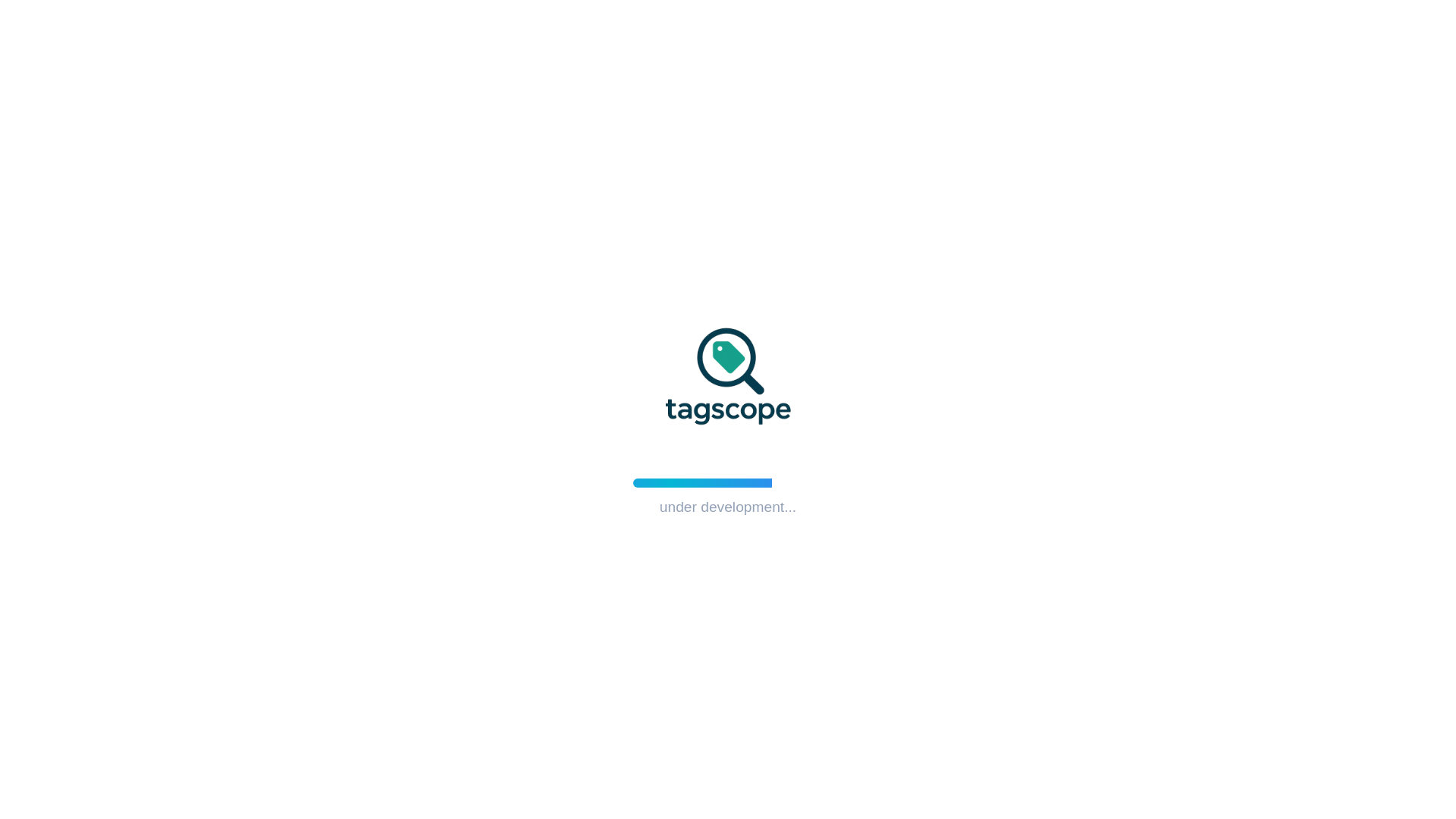 website screenshot of https://tagscope.pages.dev/