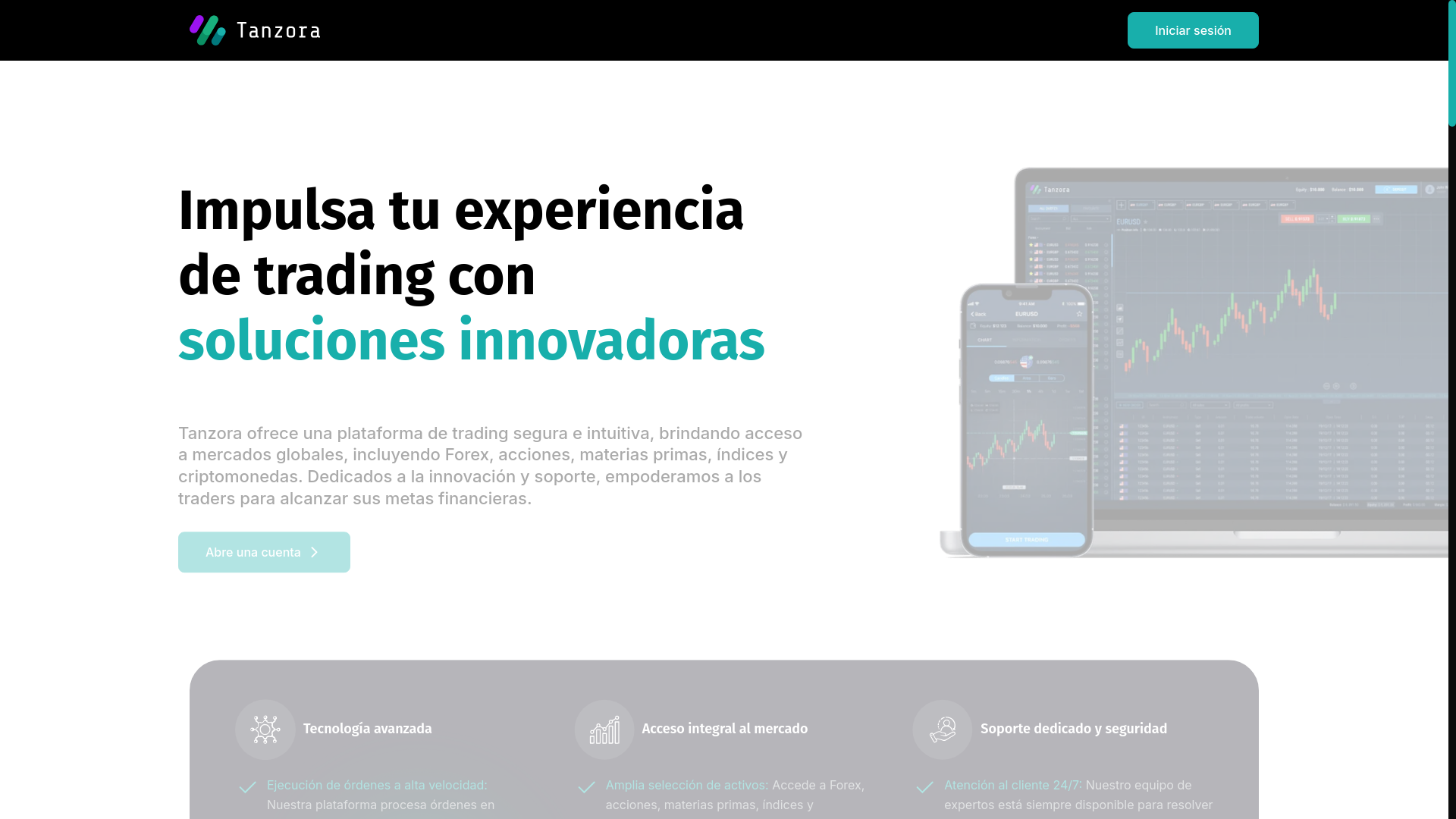 website screenshot of https://tanzora.io/
