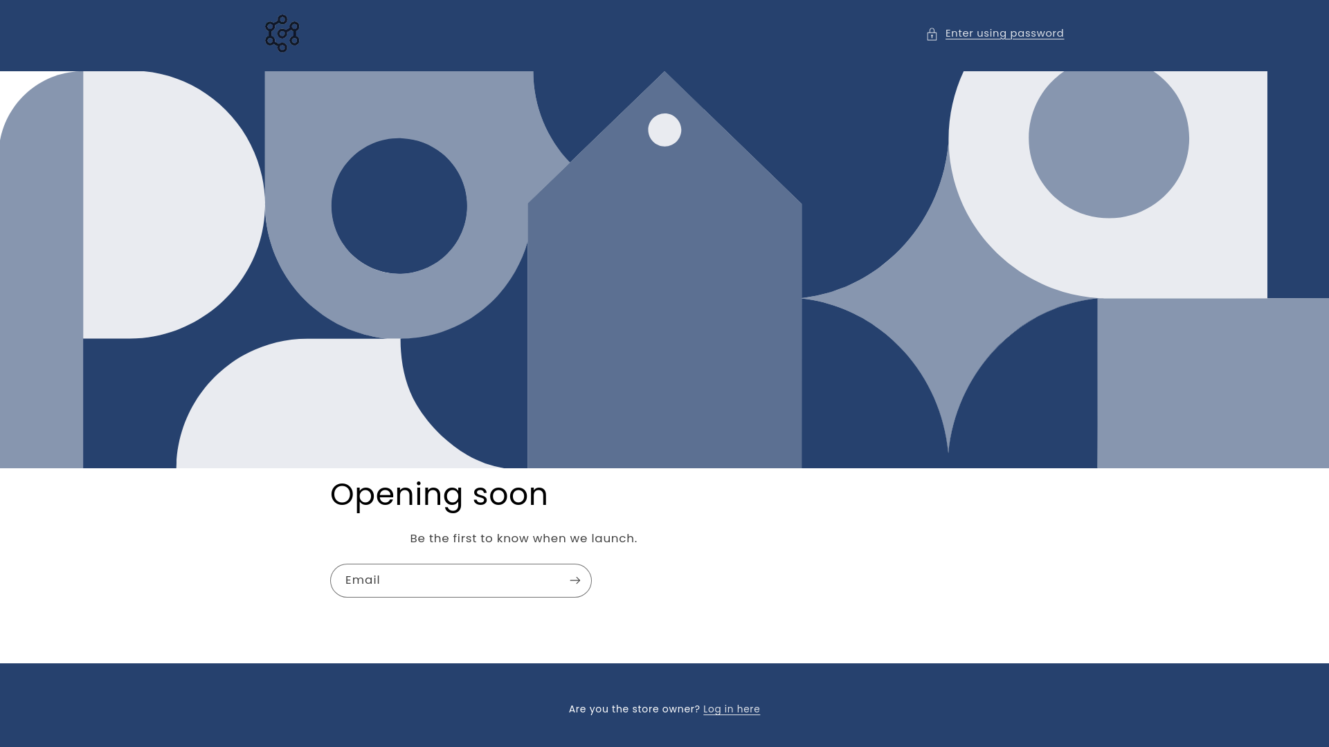 website screenshot of https://balmyhoody.store/