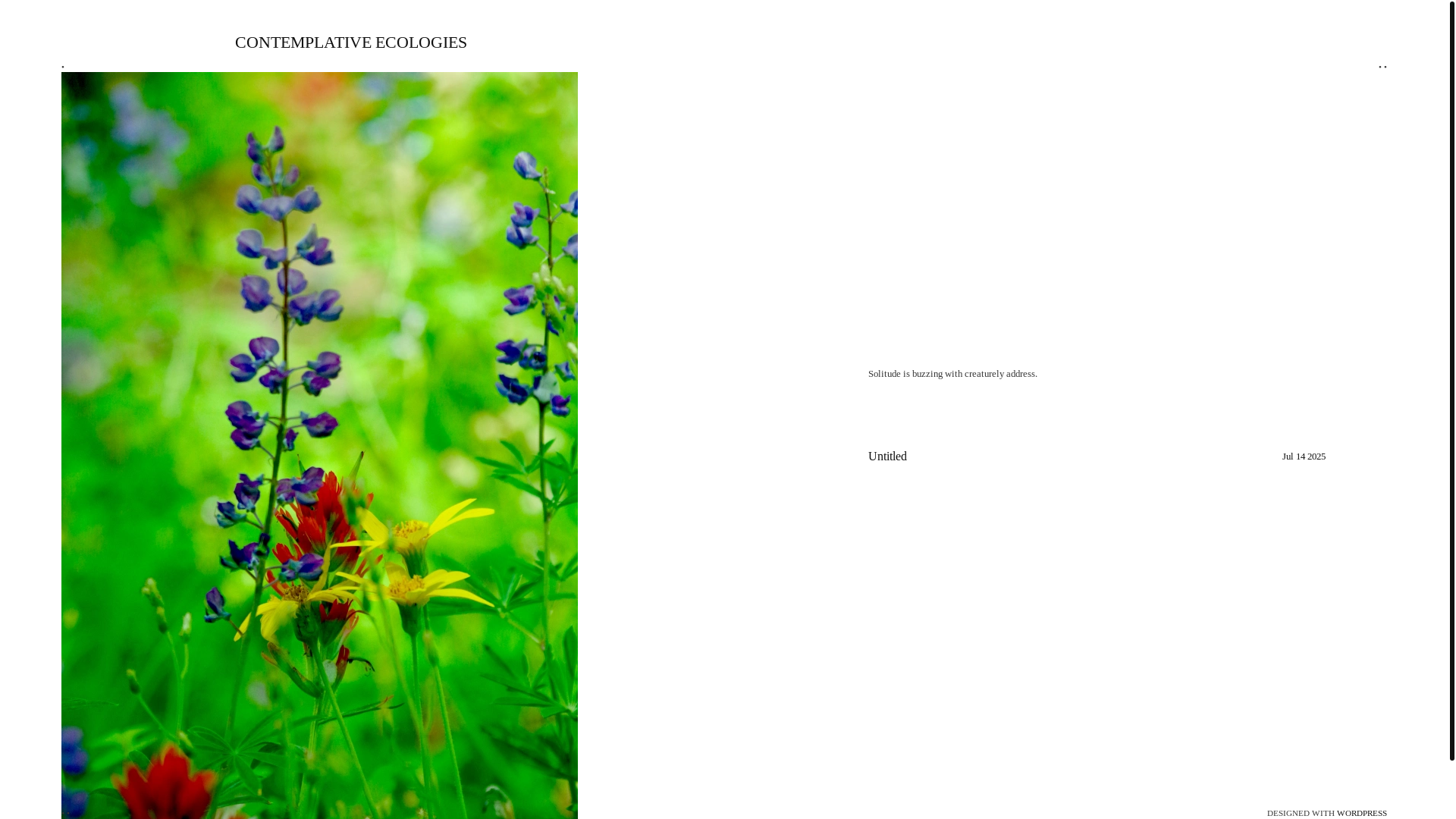 website screenshot of https://contemplativeecologies.blog/
