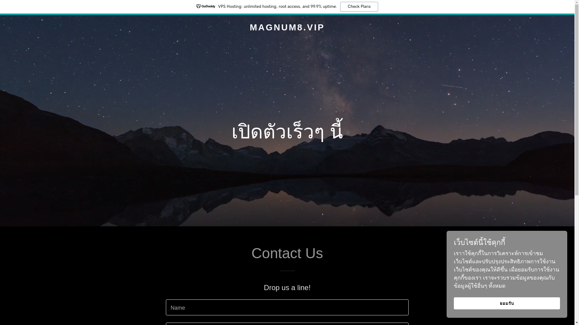 website screenshot of https://magnum8.vip/