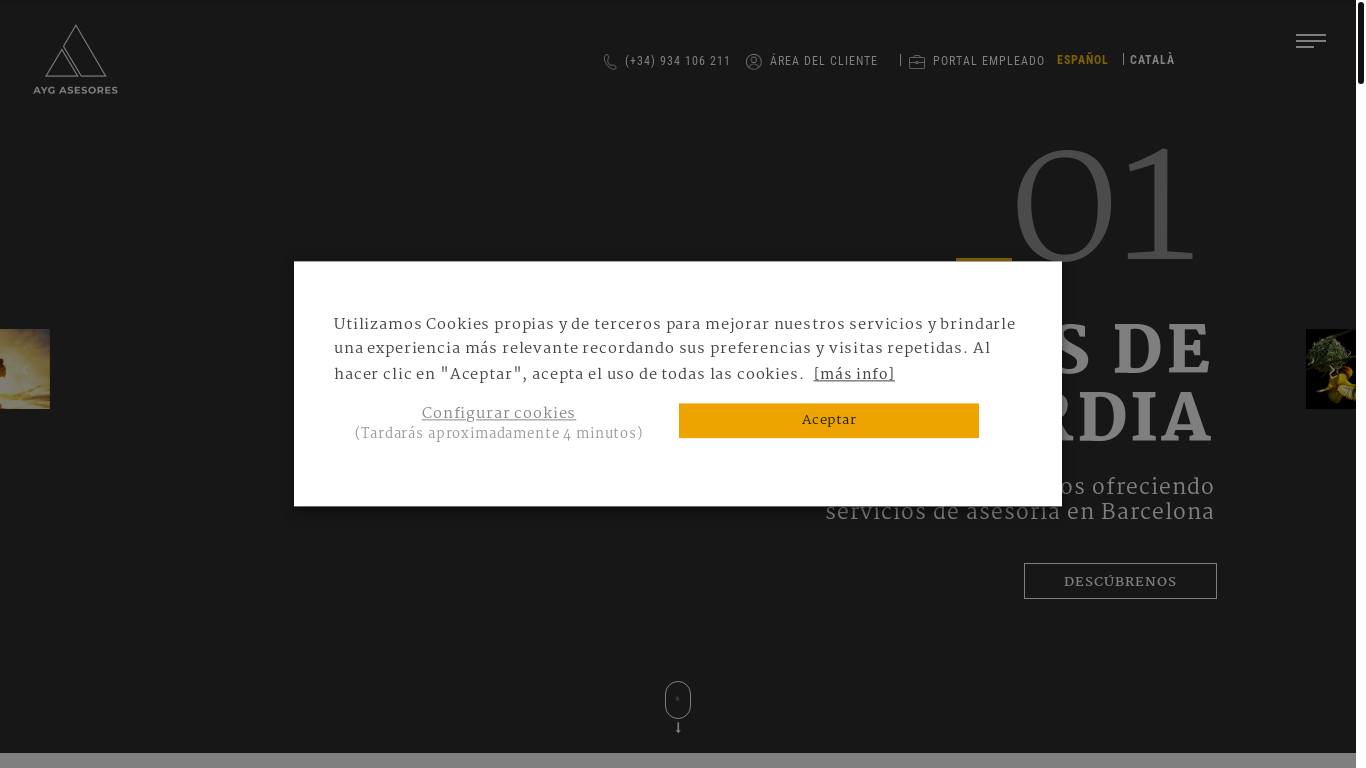 website screenshot of https://aygasesores.com/