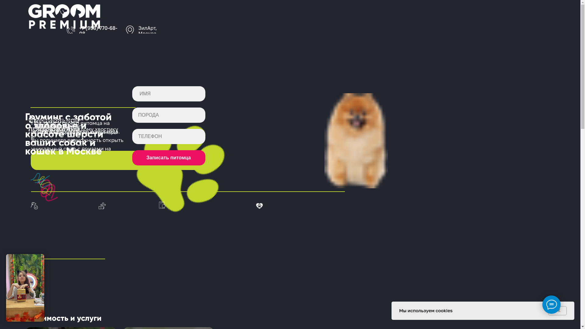 website screenshot of https://groomzilart.ru/