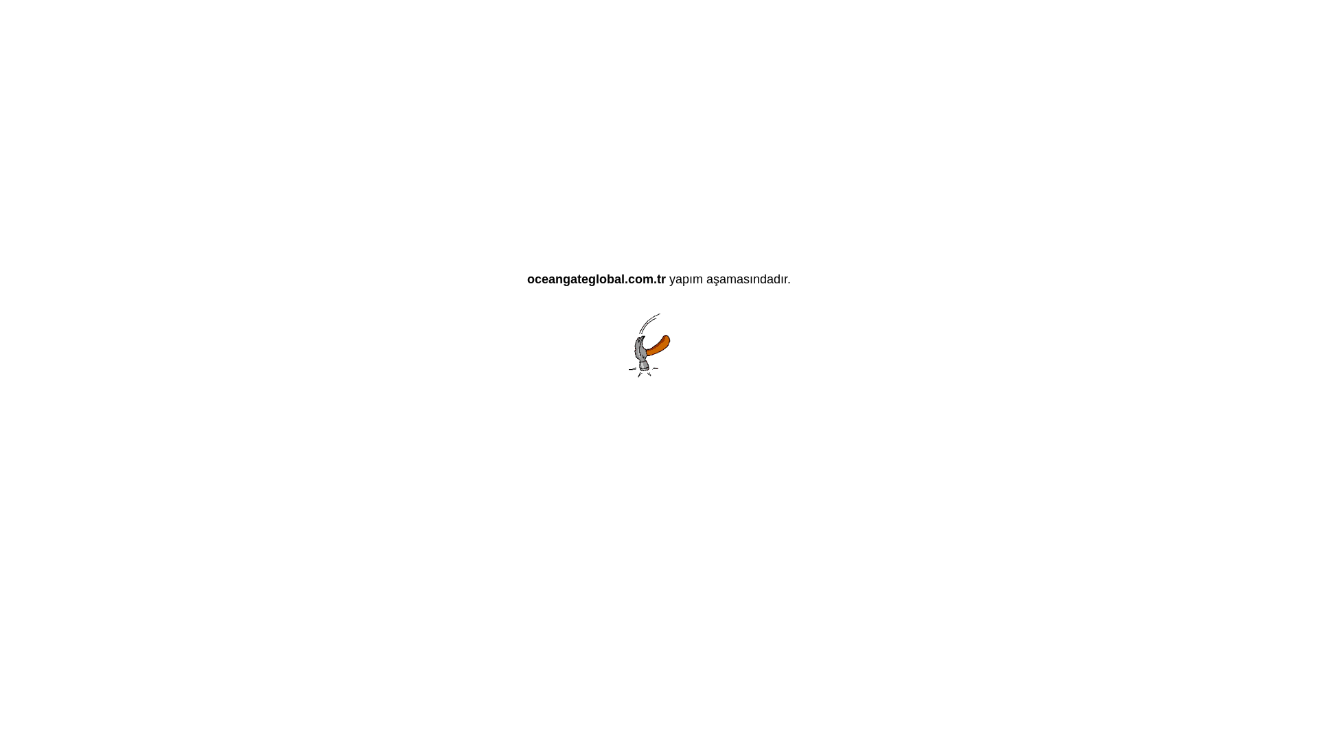 website screenshot of https://oceangateglobal.com.tr/
