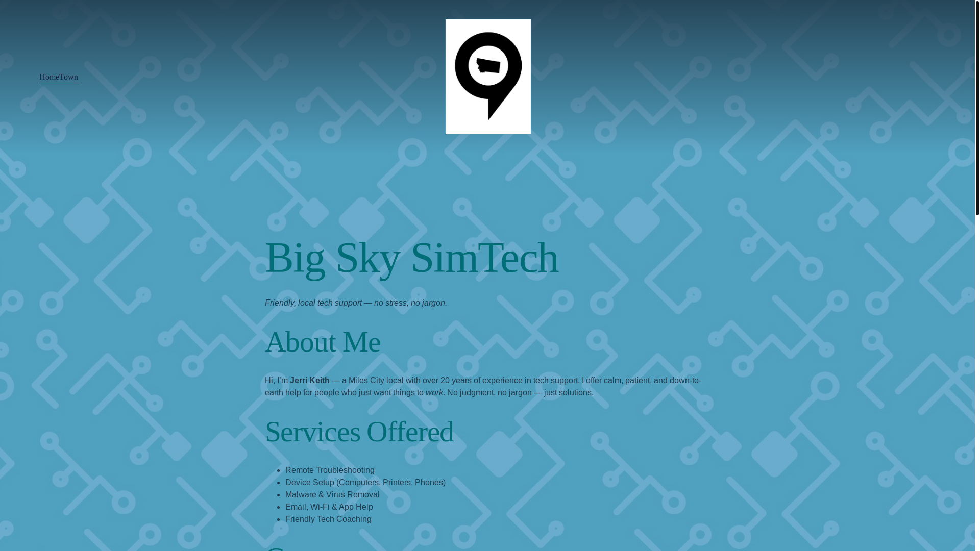 website screenshot of https://bigskysimtech.com/
